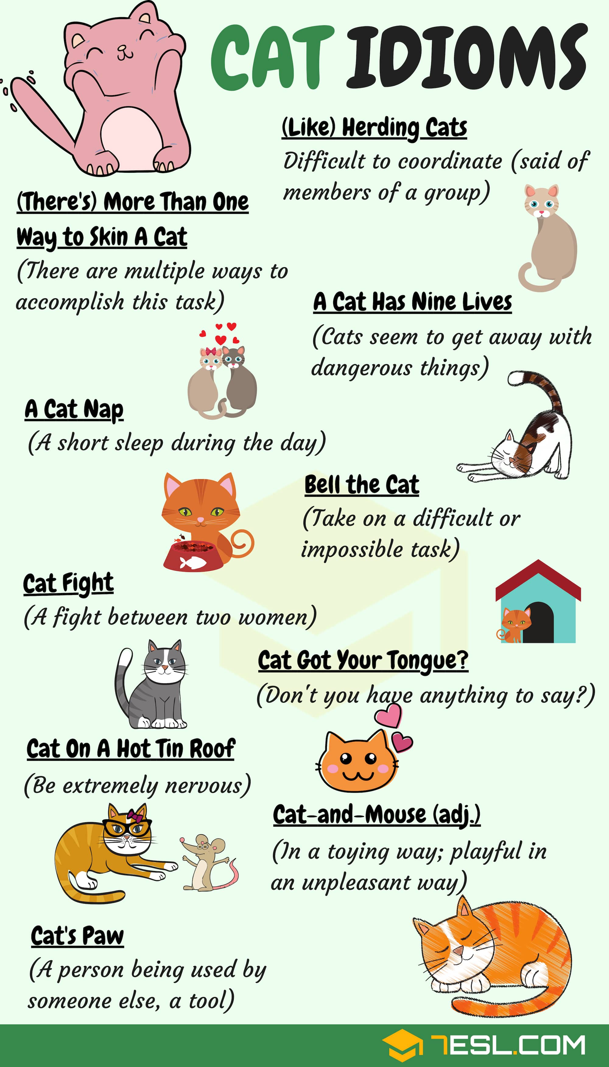 Cat Idioms