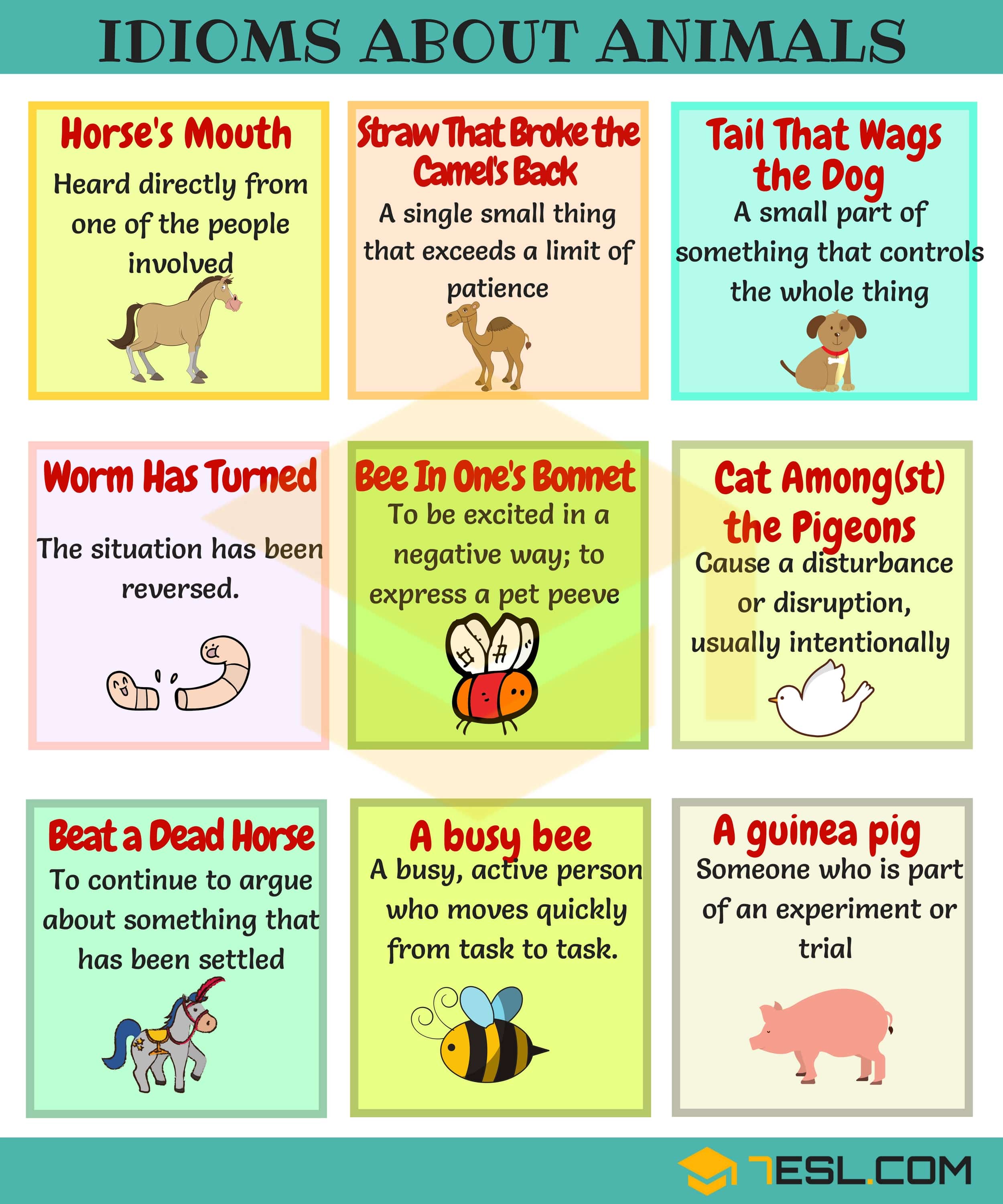 Animal Idioms in English