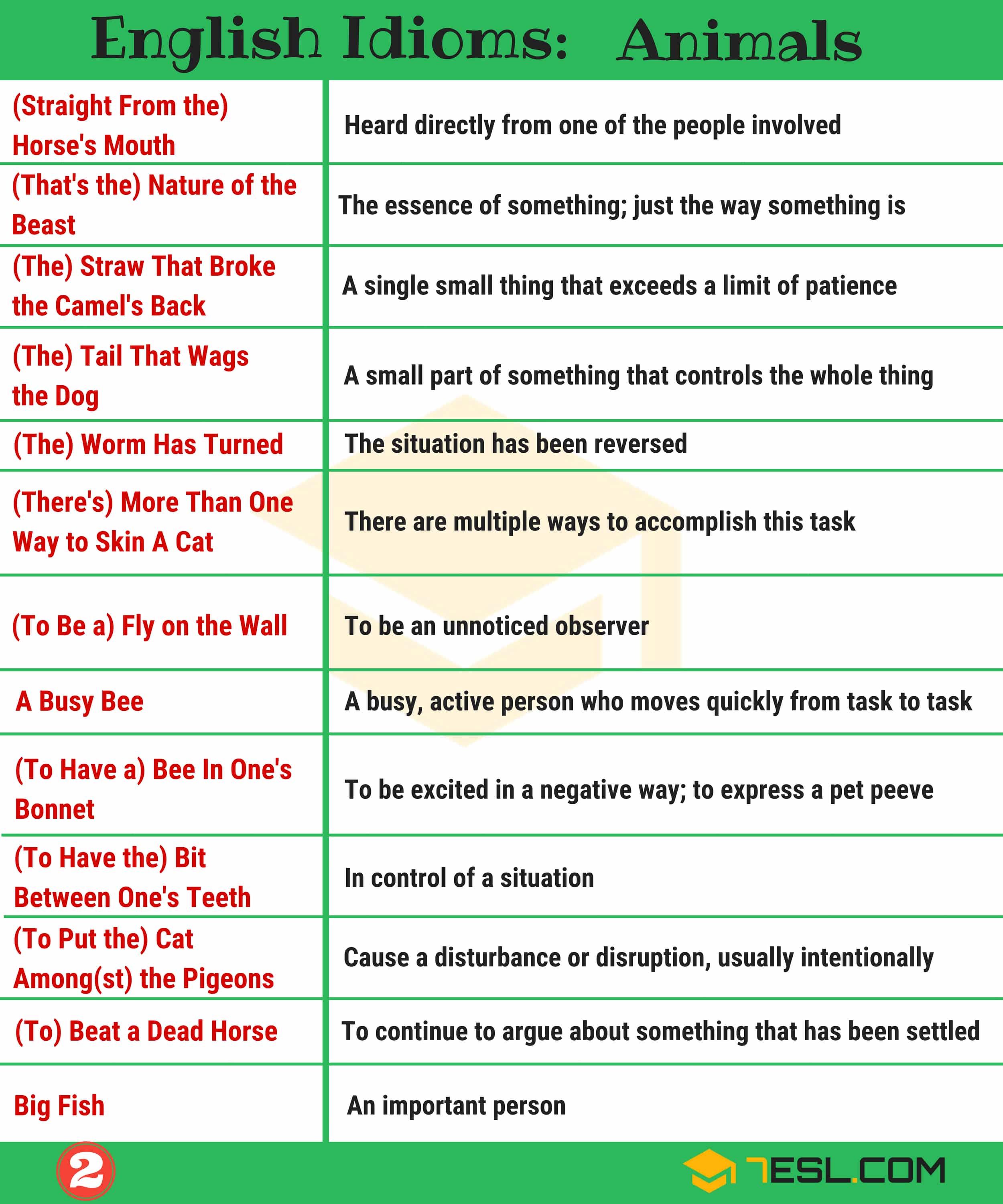 Animal Idioms with Meanings
