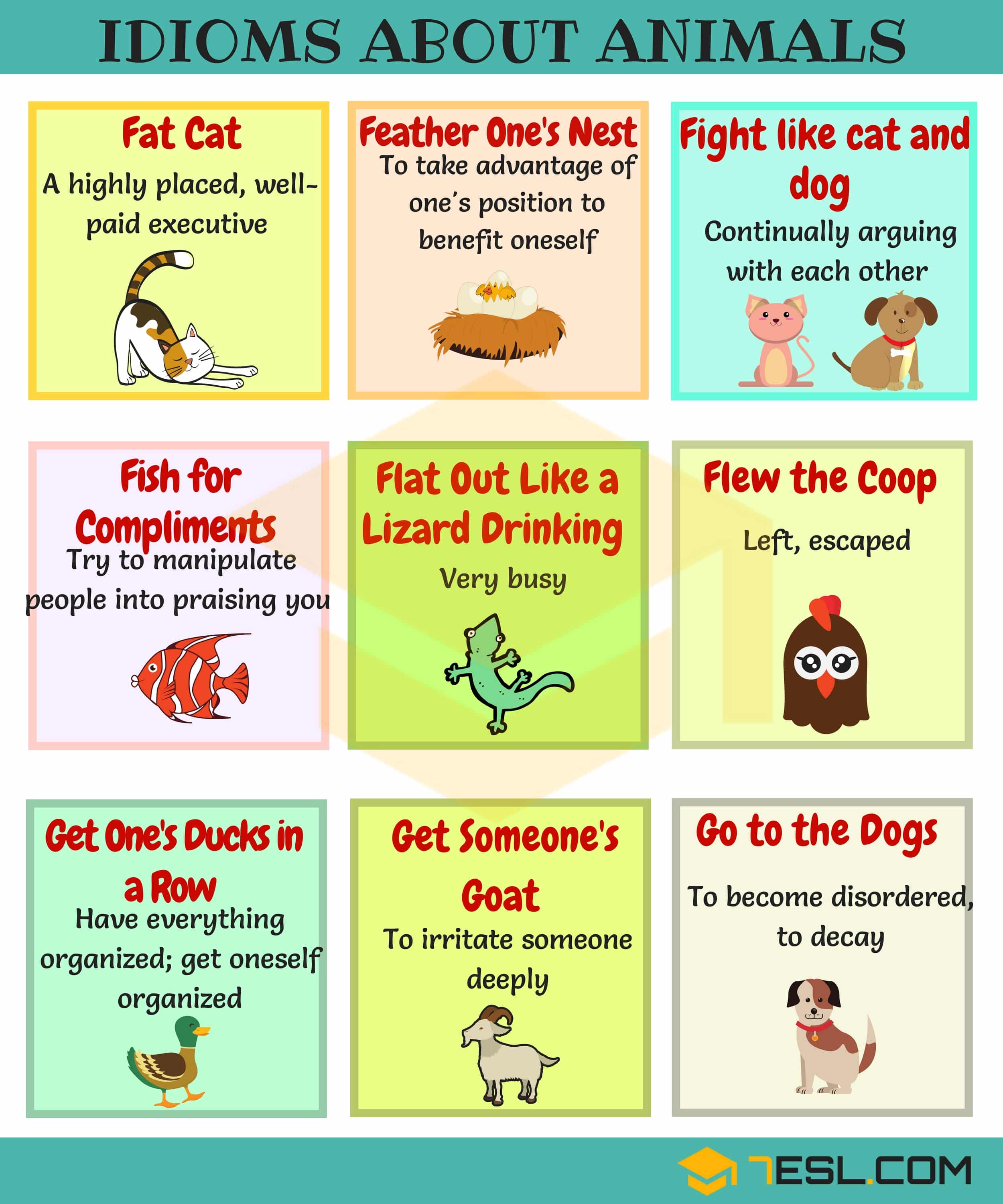 List of Idioms about Animals