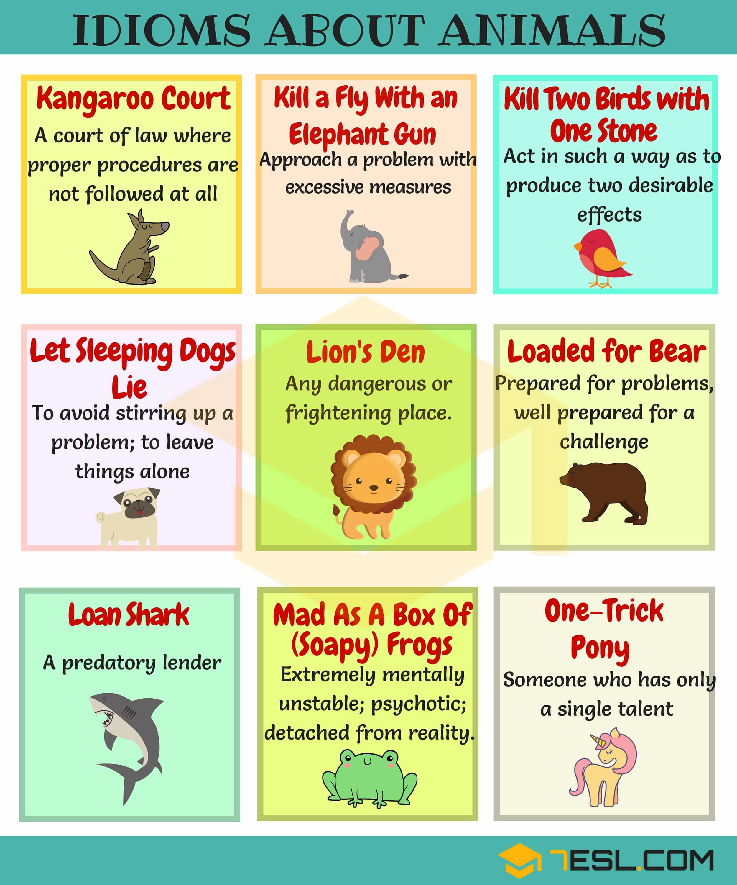 Animal Idioms
