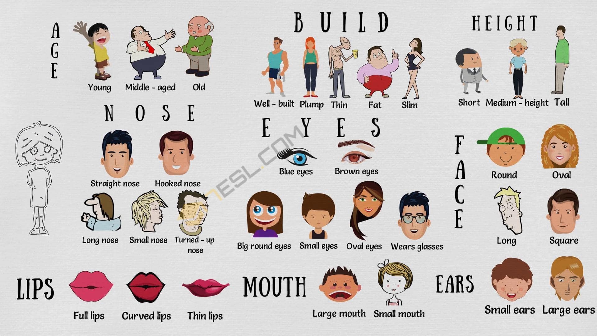 Adjectives to Describe a Person’s Physical Appearance