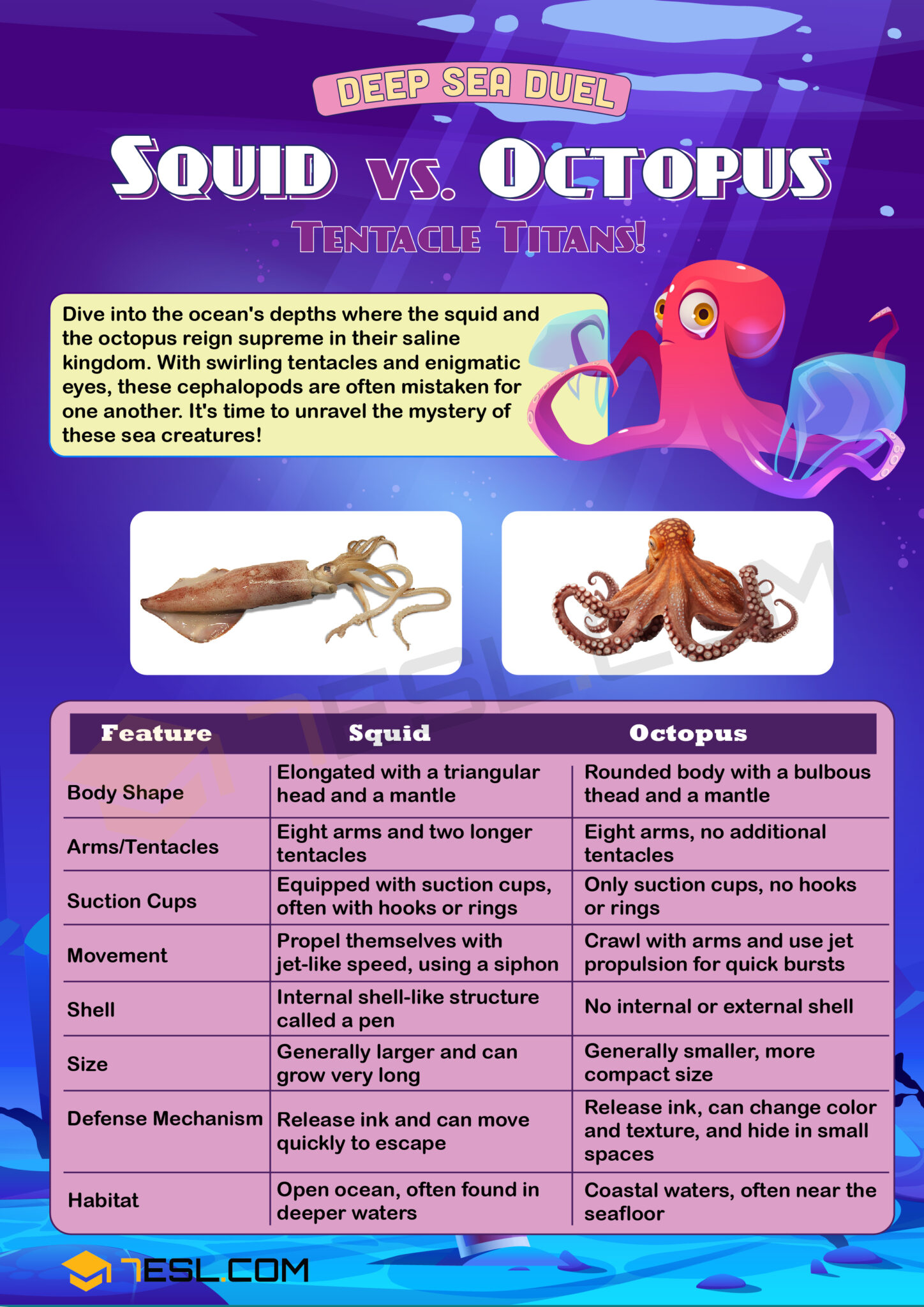 Squid vs. Octopus