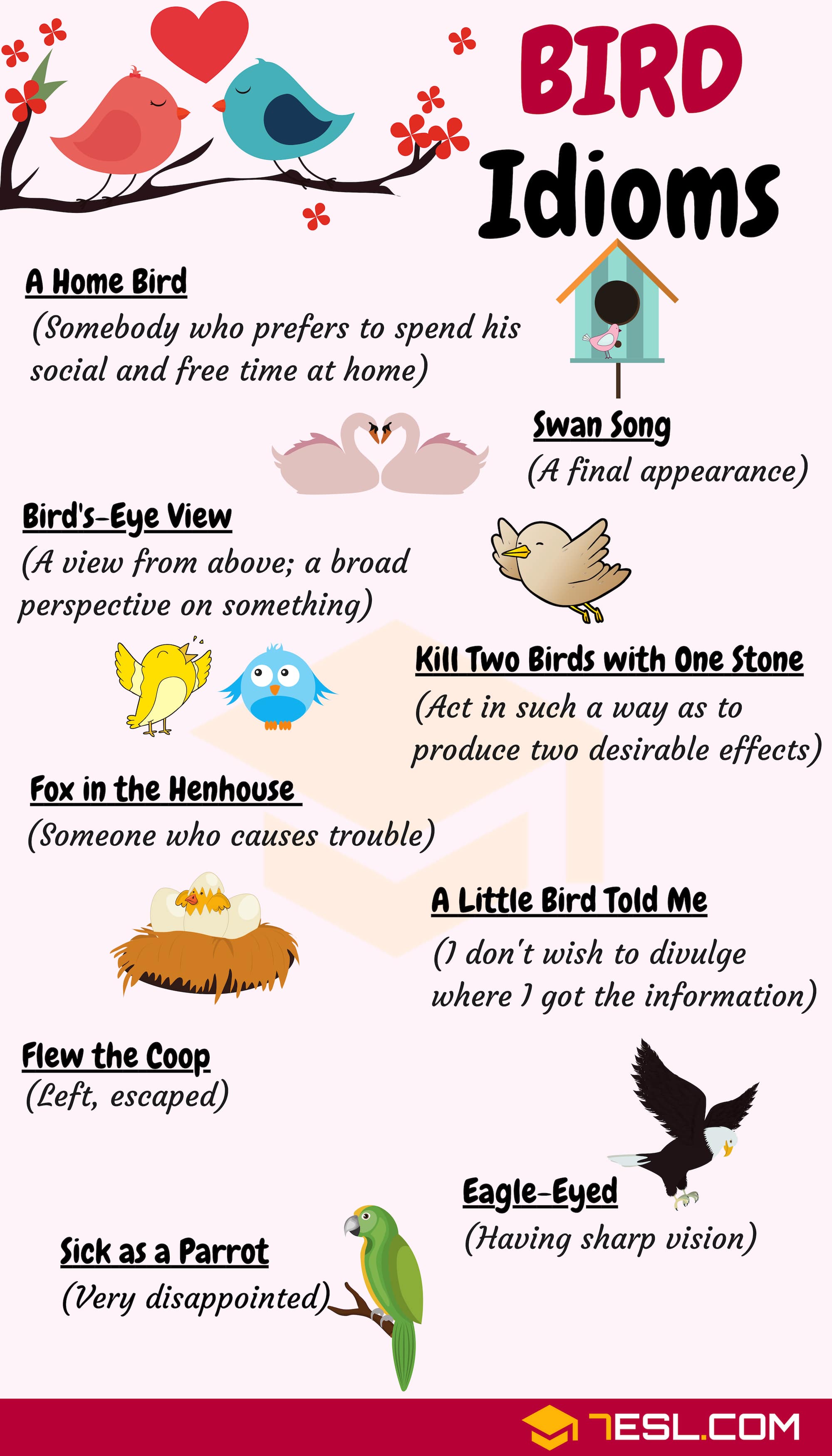 Bird Idioms