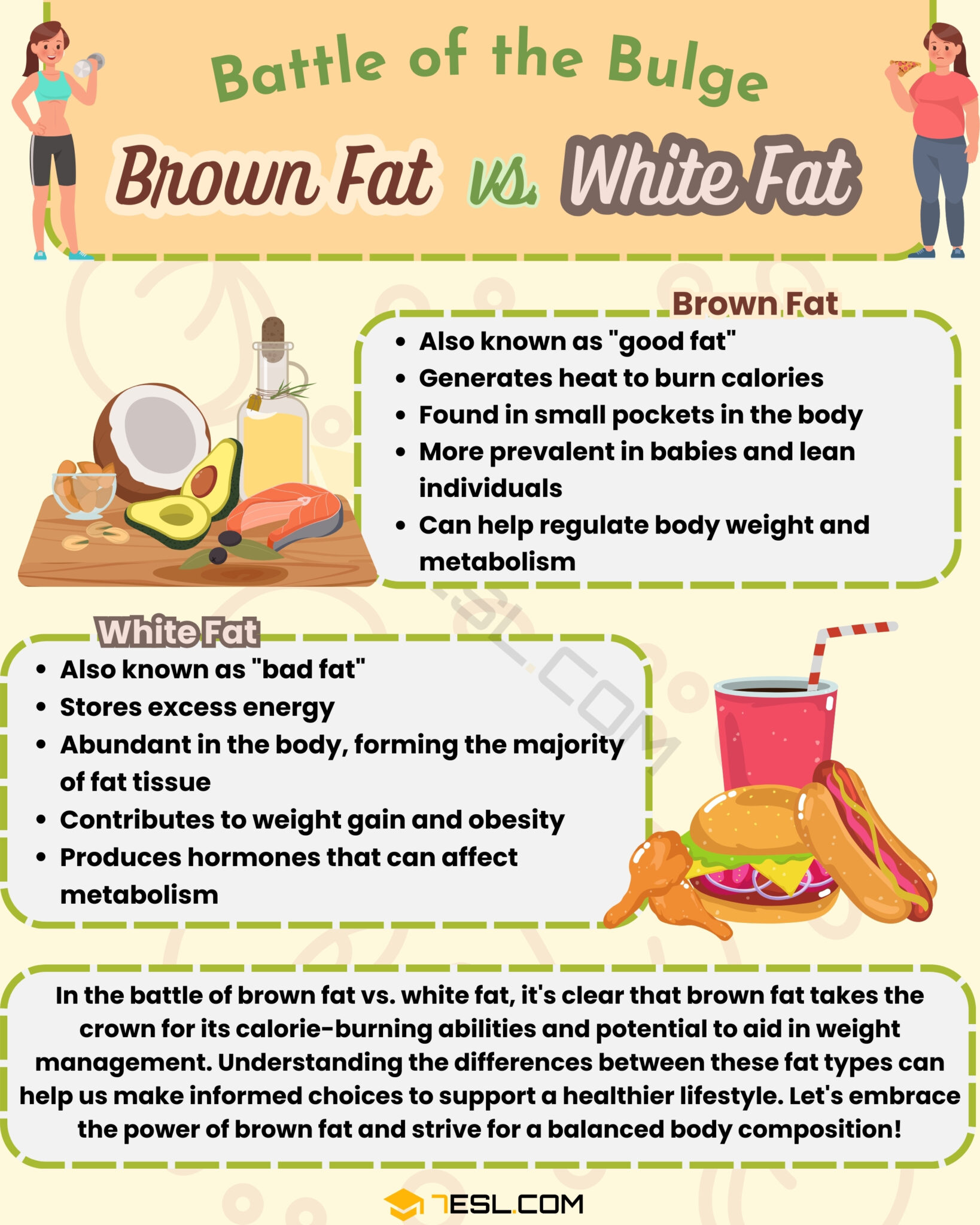 Brown Fat vs. White Fat