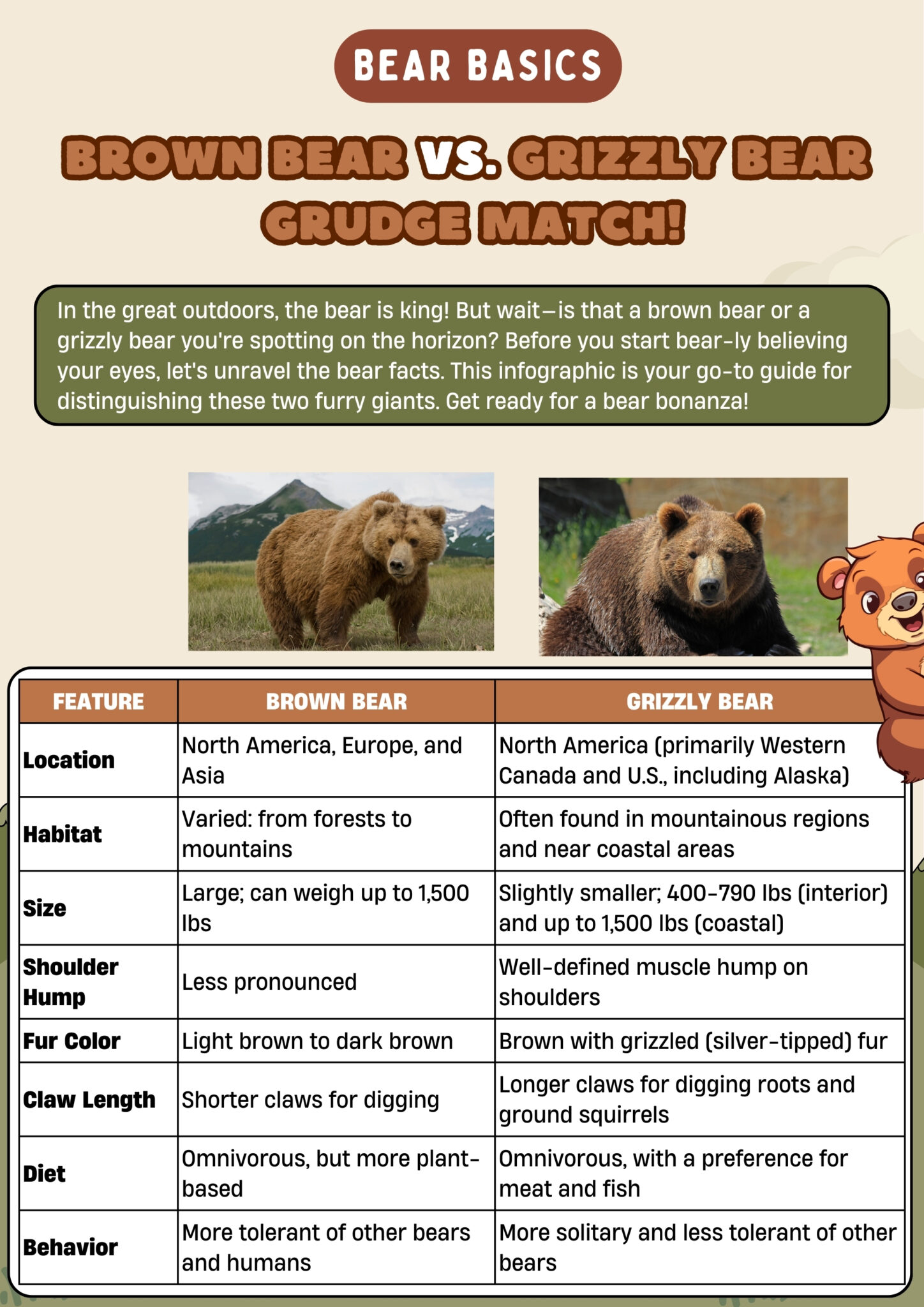 Brown Bear vs. Grizzly Bear