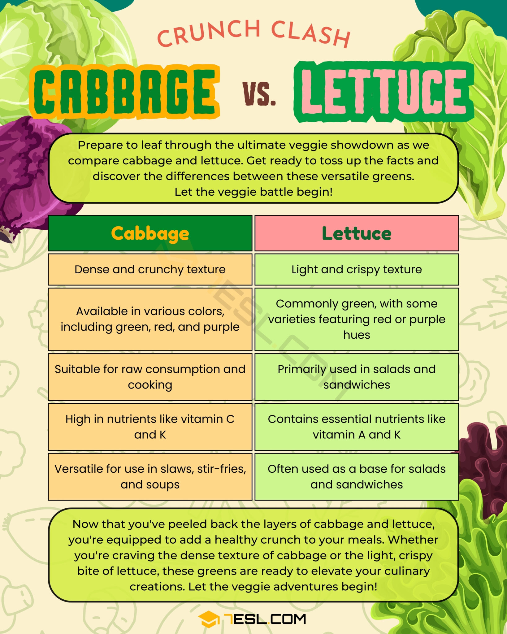 Cabbage vs. Lettuce