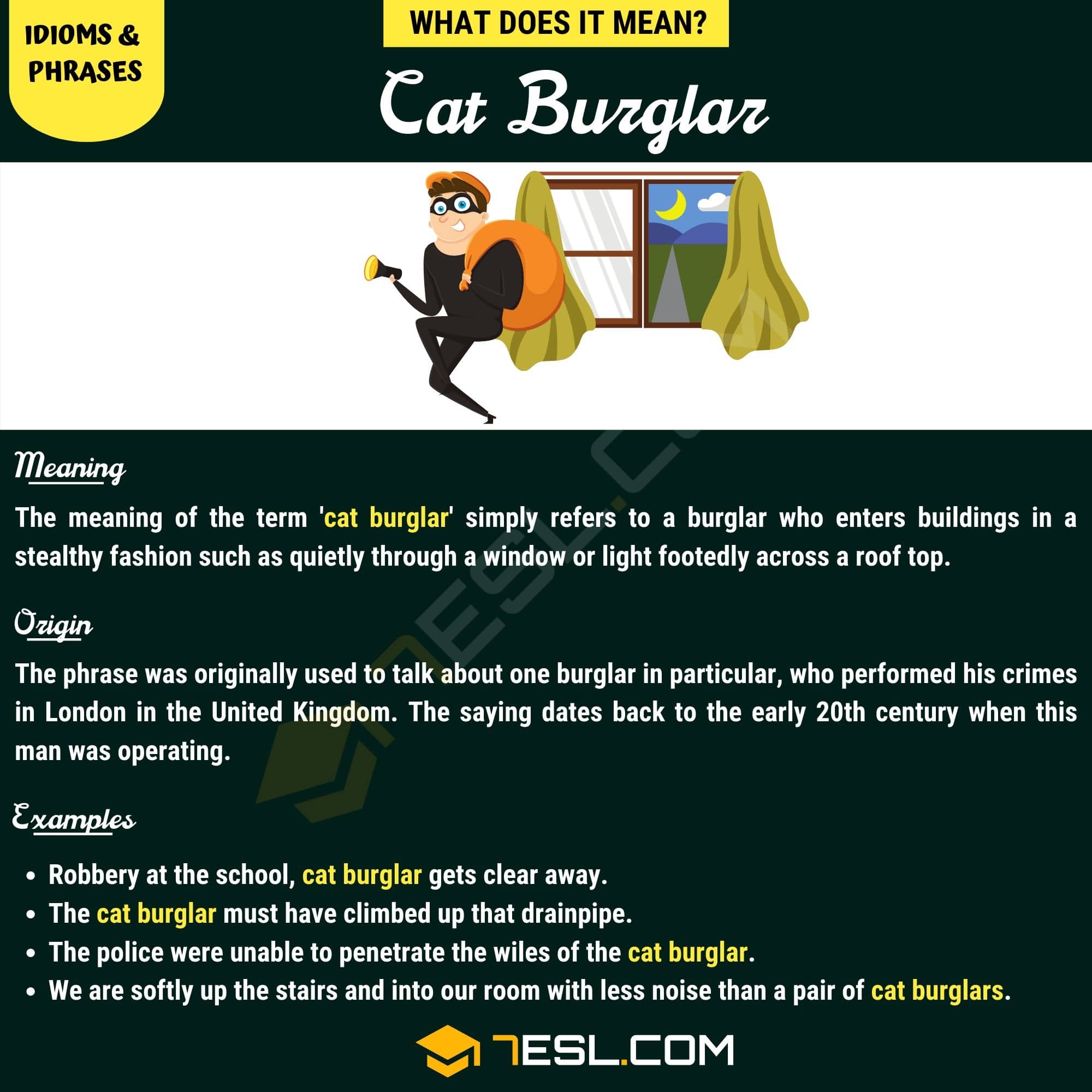 Cat Burglar
