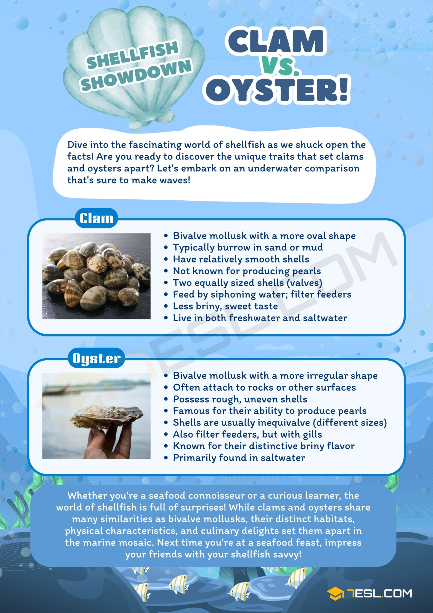 Clam vs. Oyster