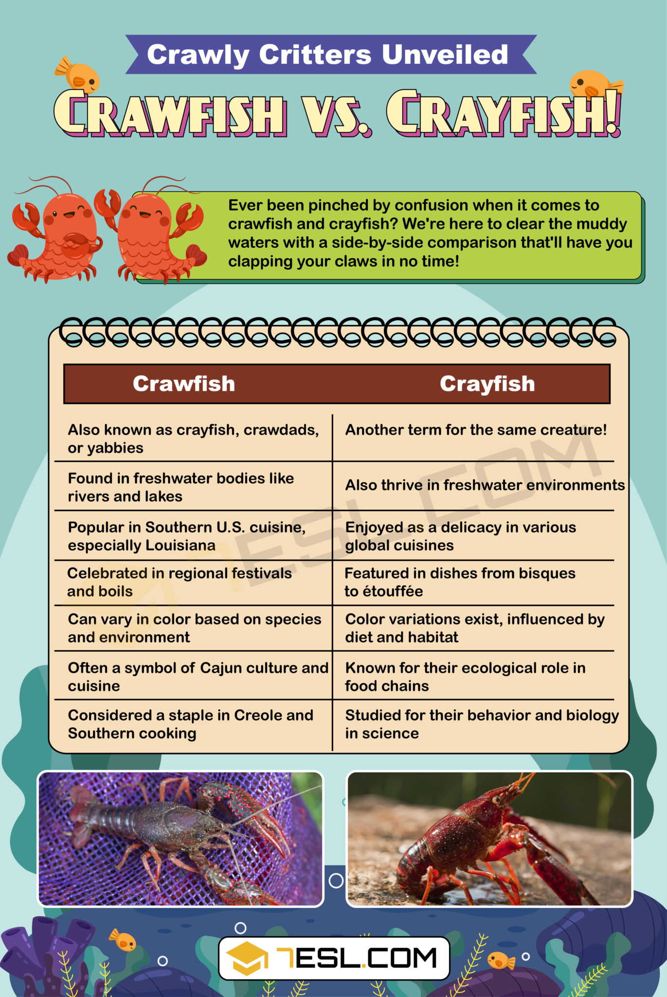 Crawfish vs. Crayfish