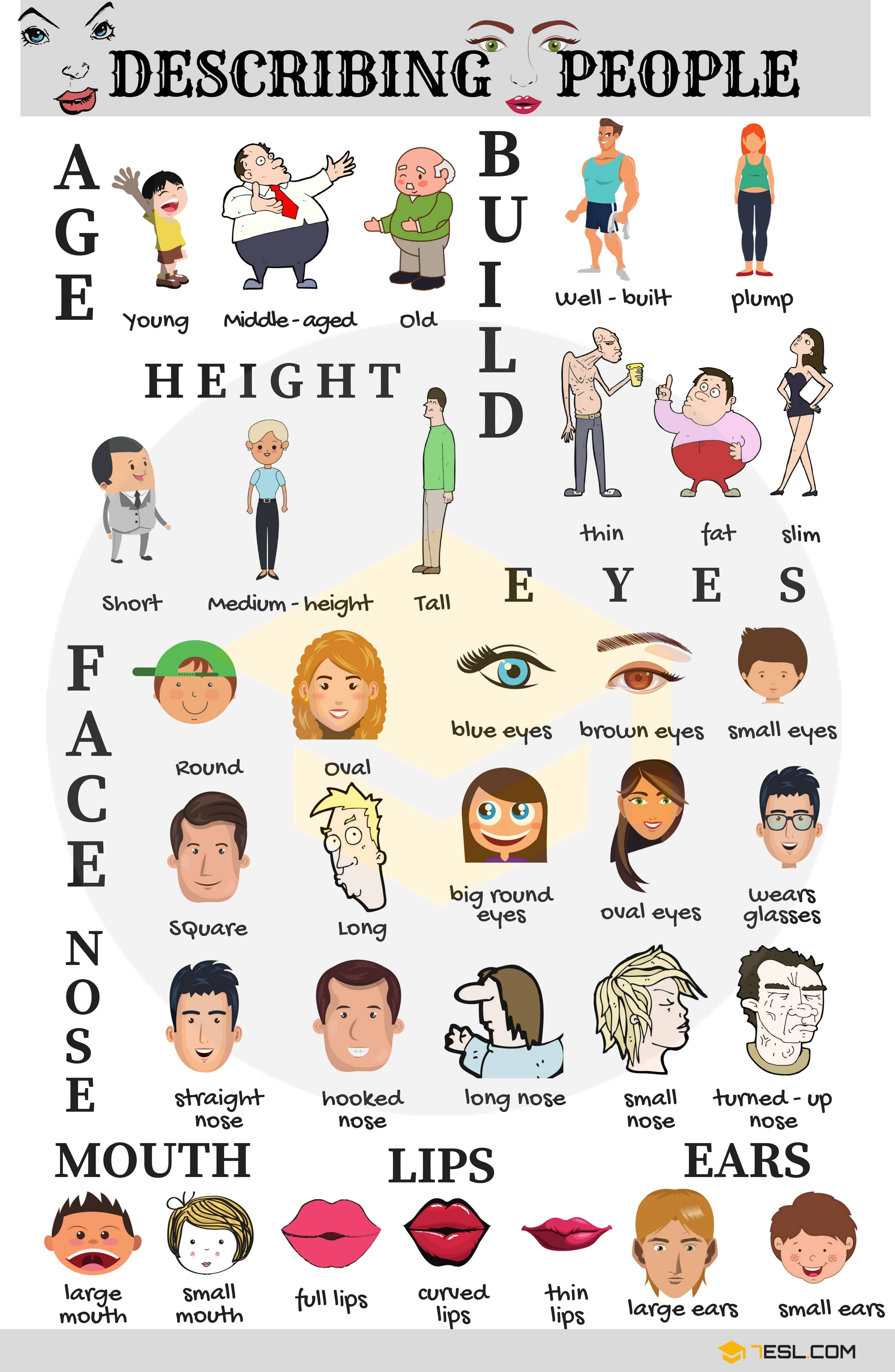 Adjectives to Describe Physical Appearance