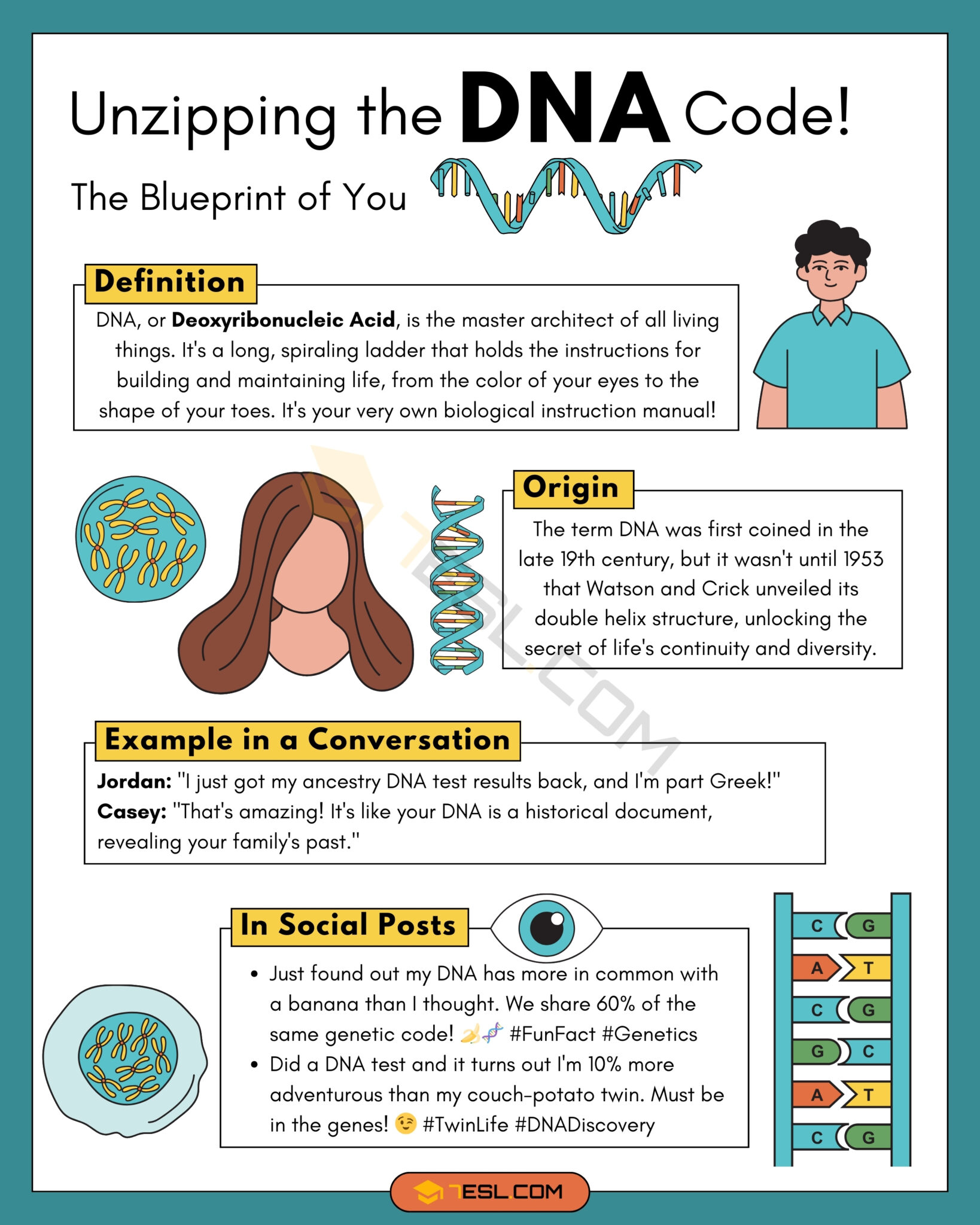 DNA Meaning