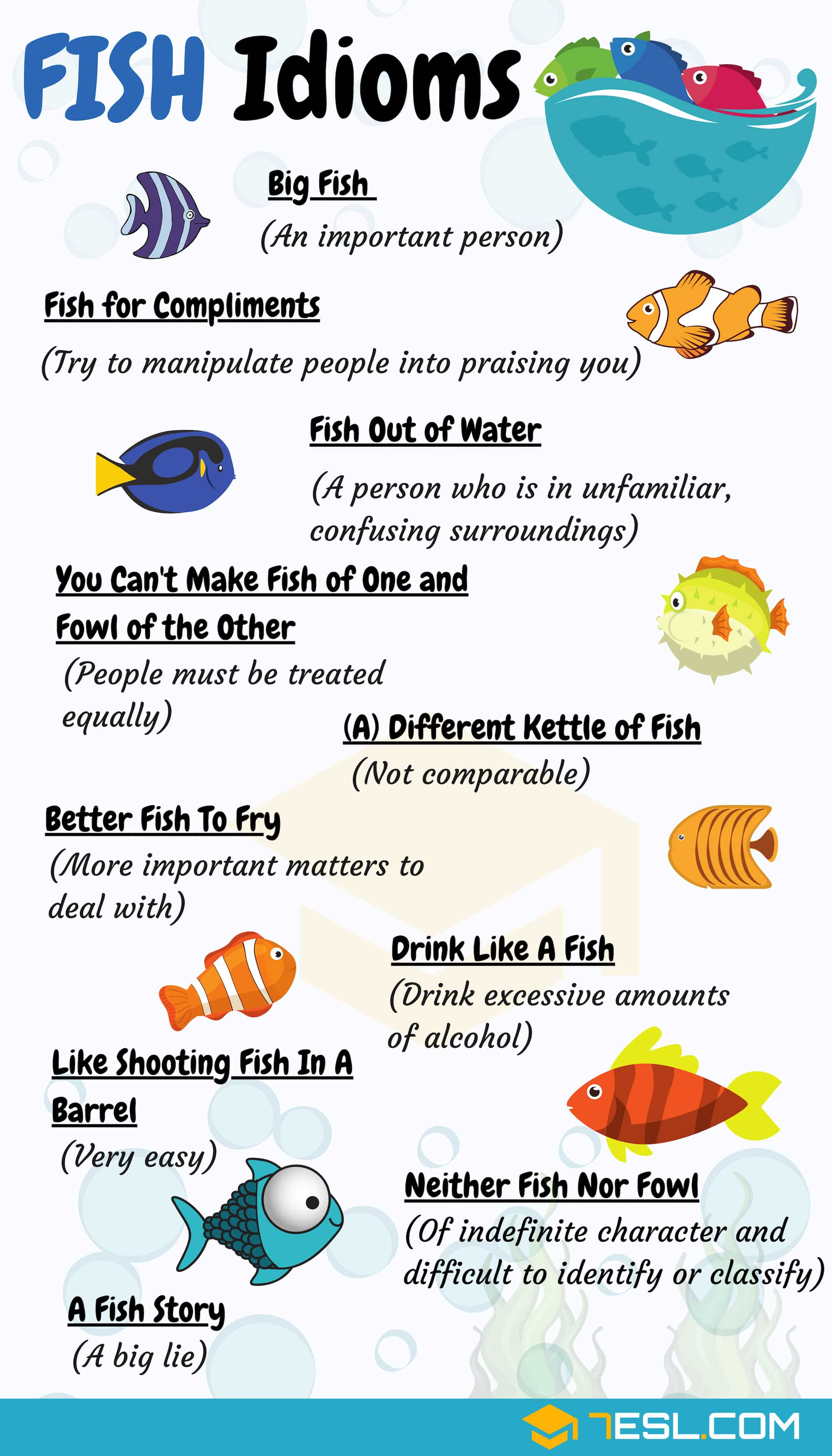 Fish Idioms