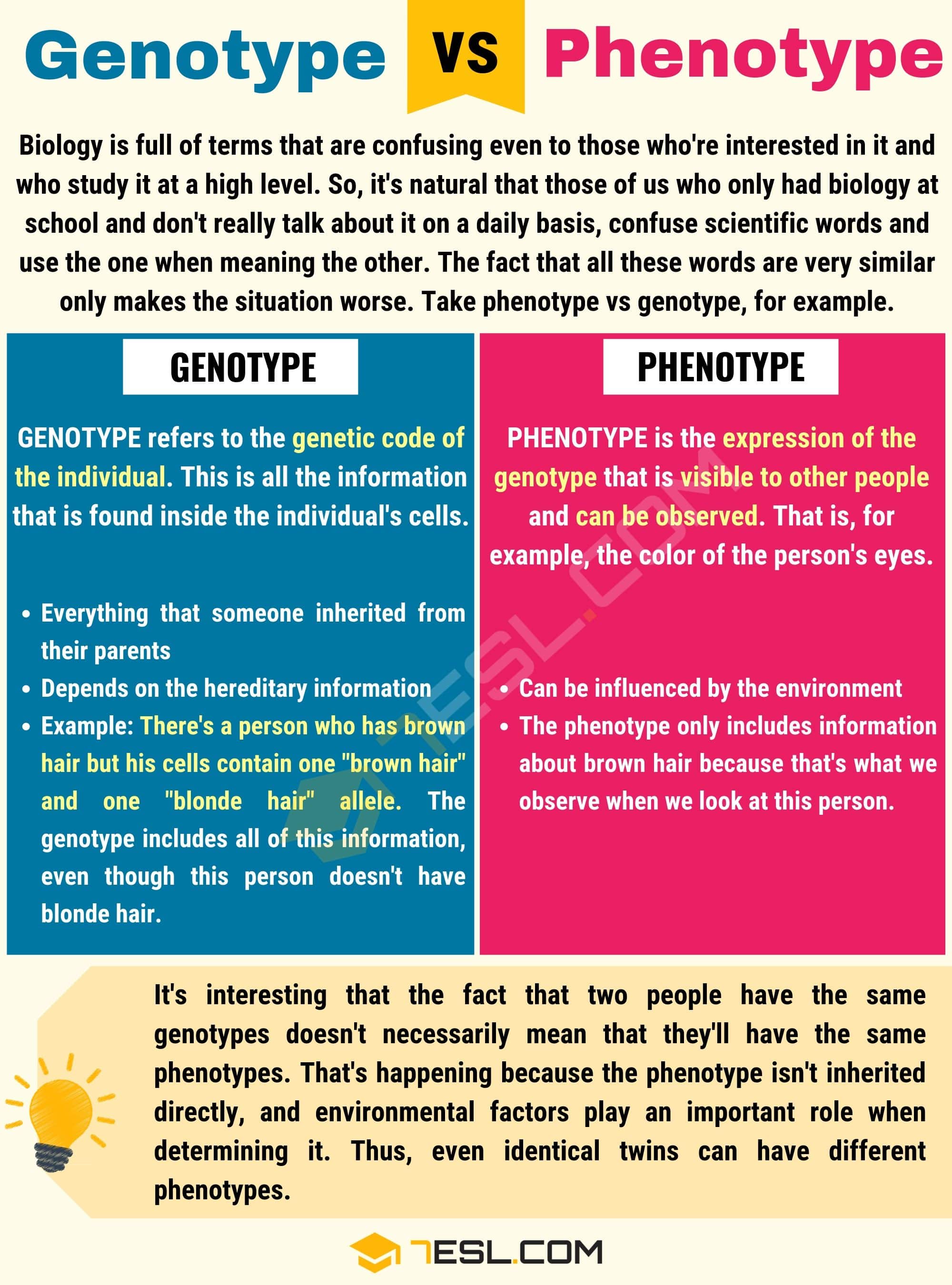 Genotype vs. Phenotype