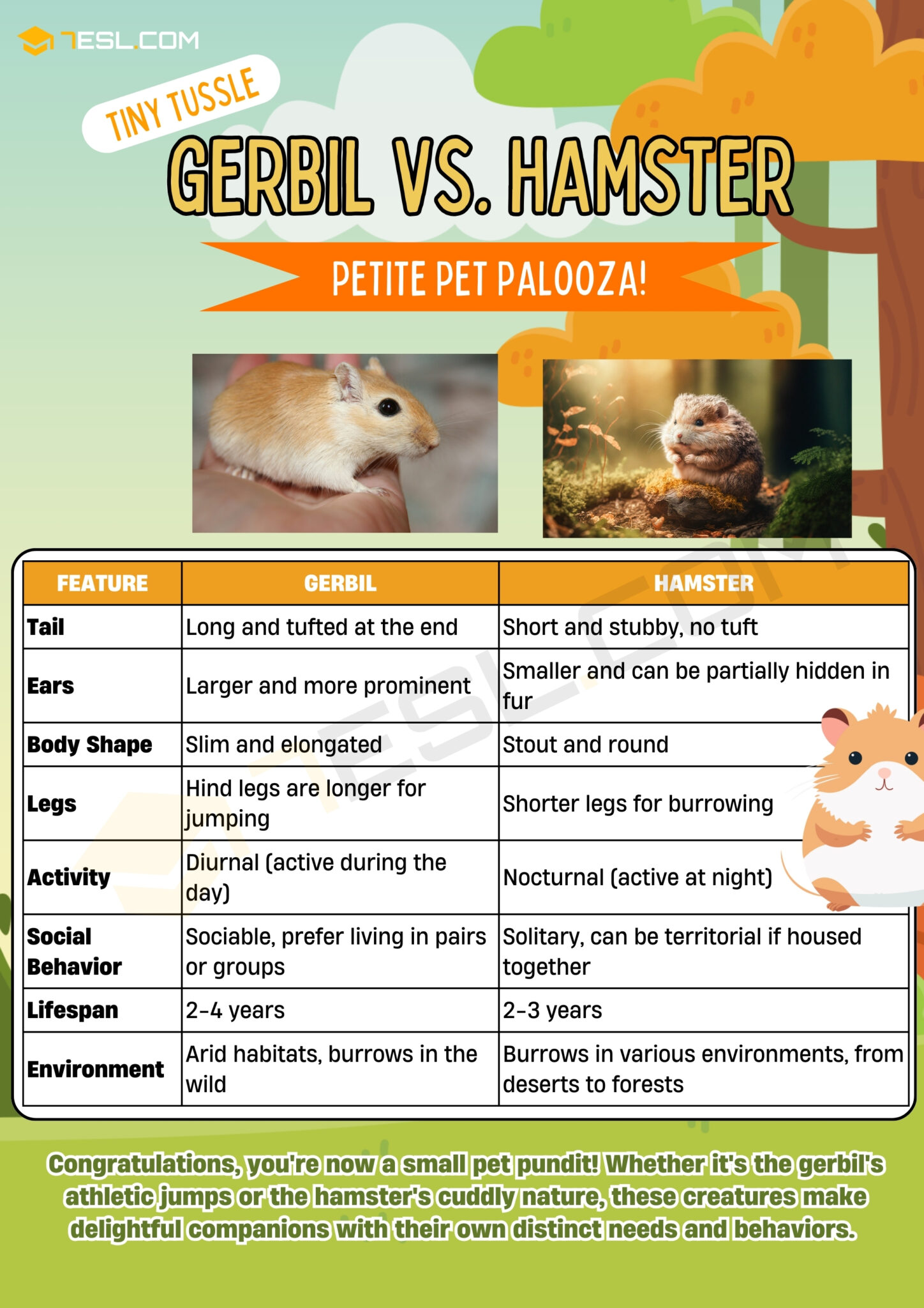 Gerbil vs. Hamster