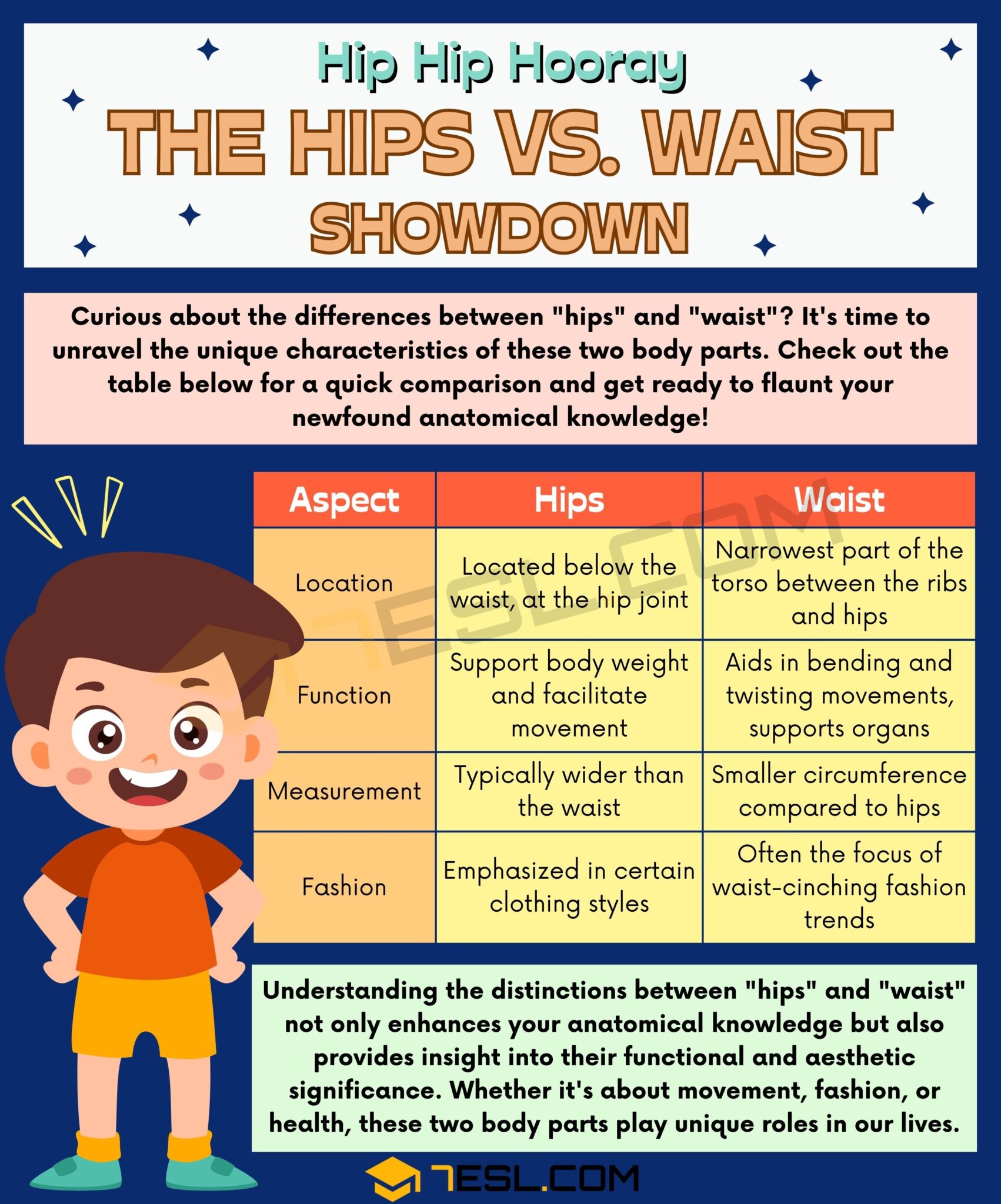 Hips vs. Waist