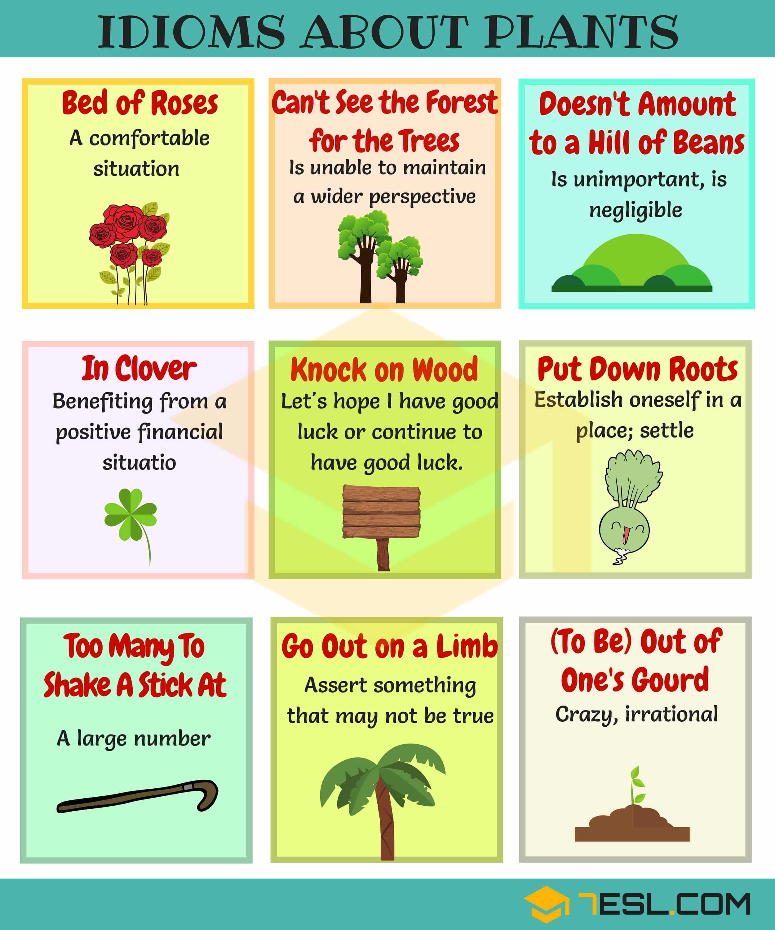 Plants and Flowers Idioms