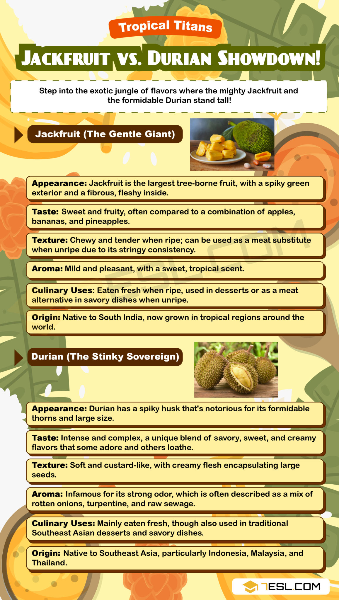 Jackfruit vs. Durian