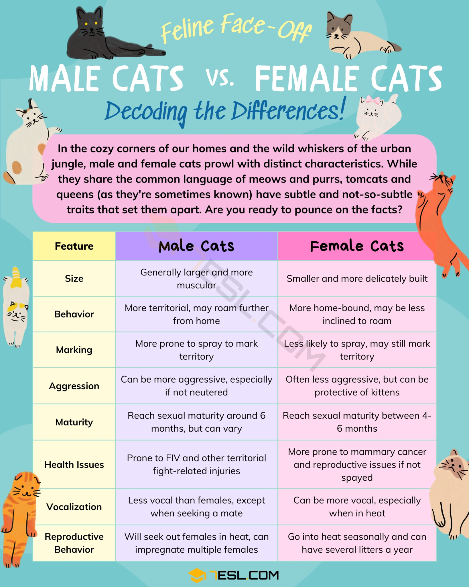 Female vs. Male Cats