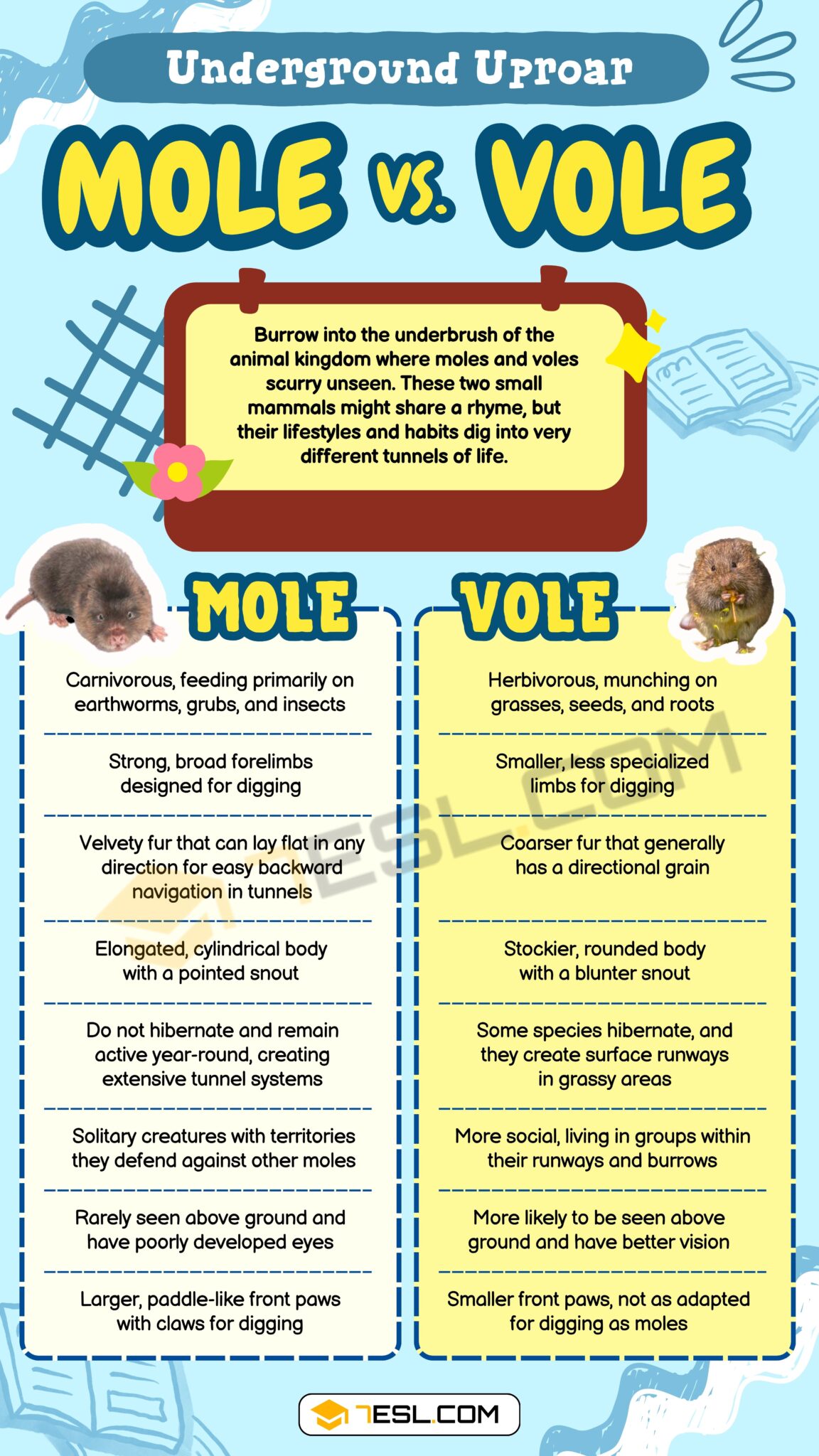 Mole vs. Vole