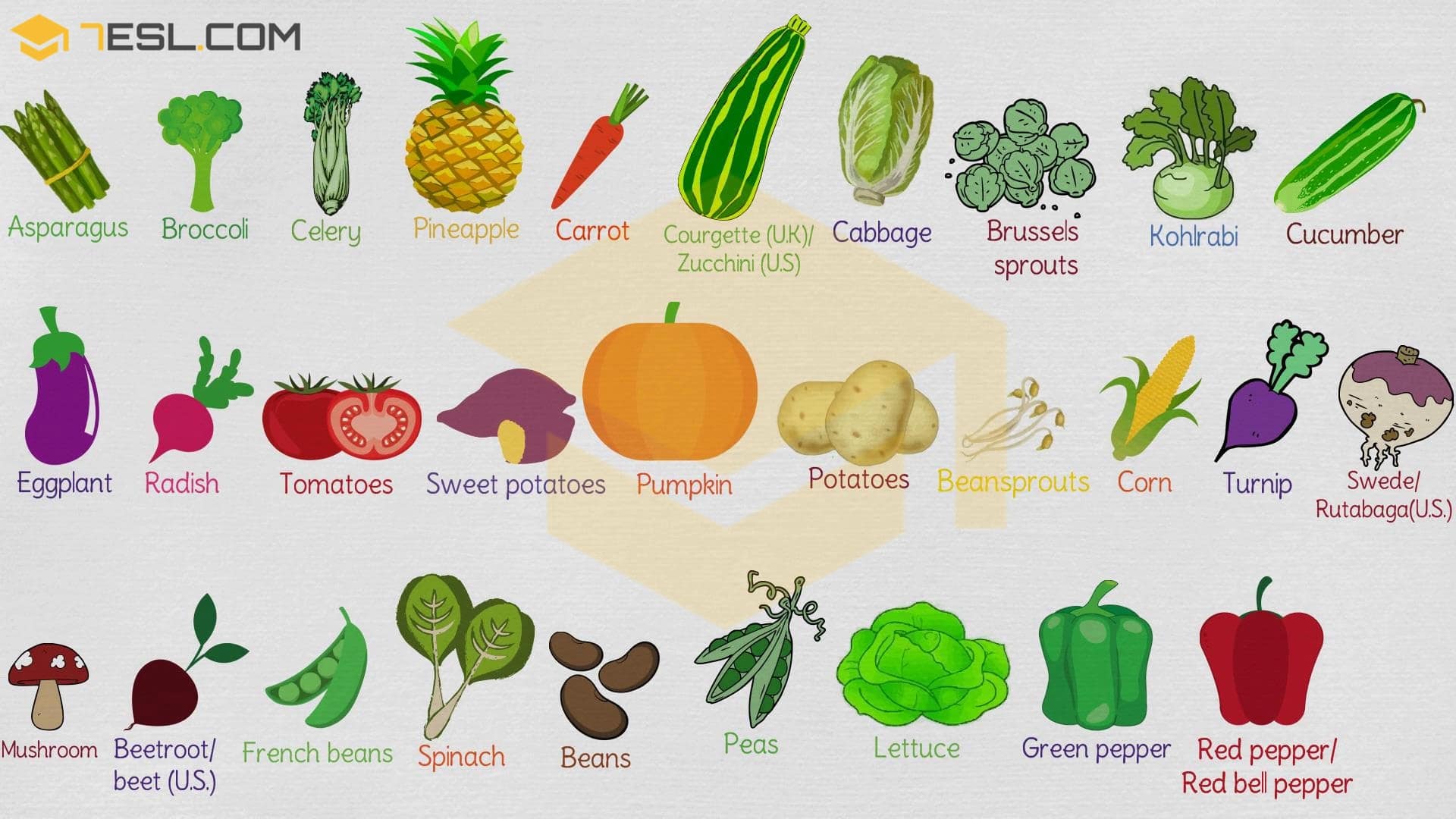 List of Vegetables