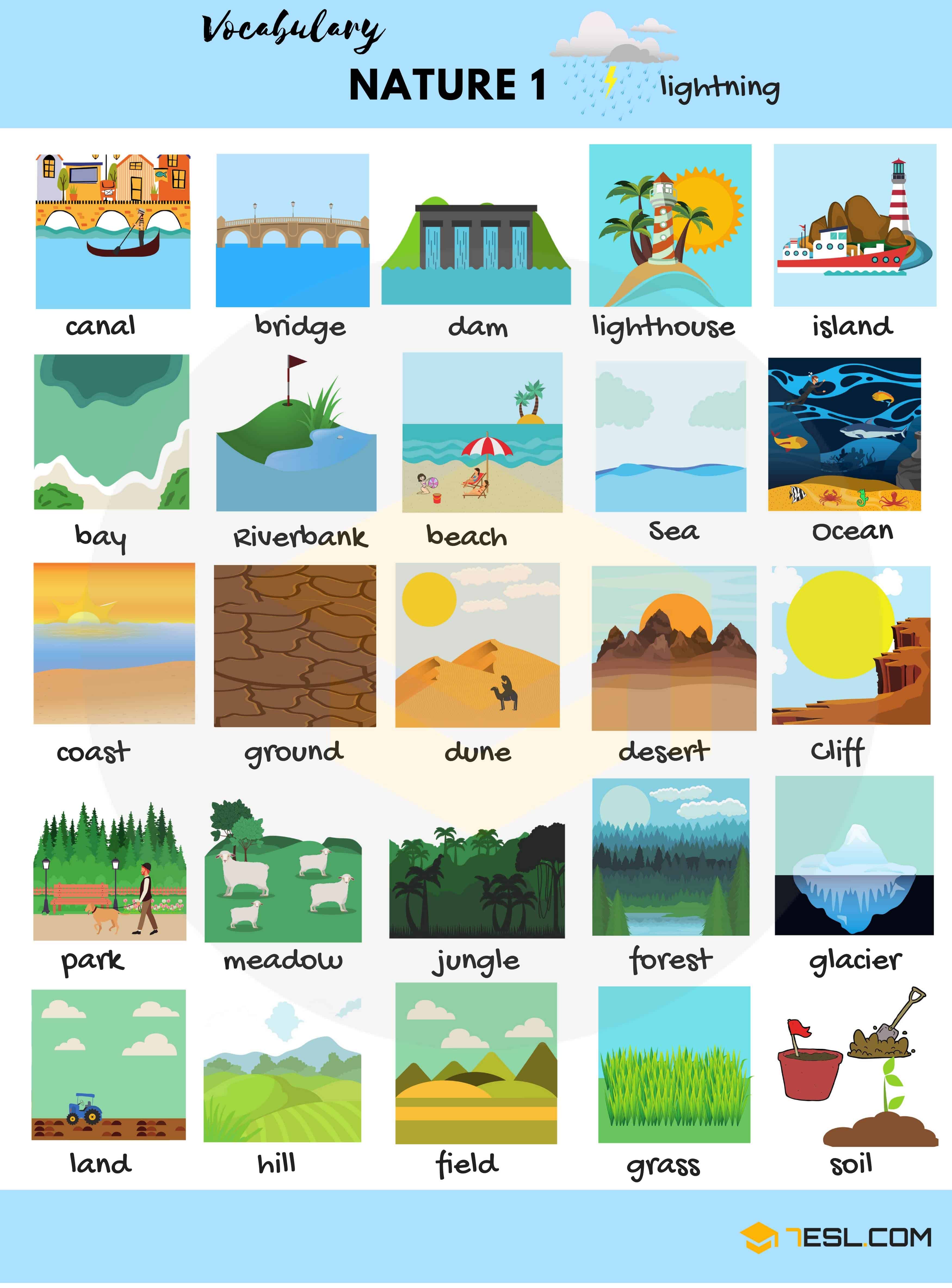 Nature Vocabulary Words