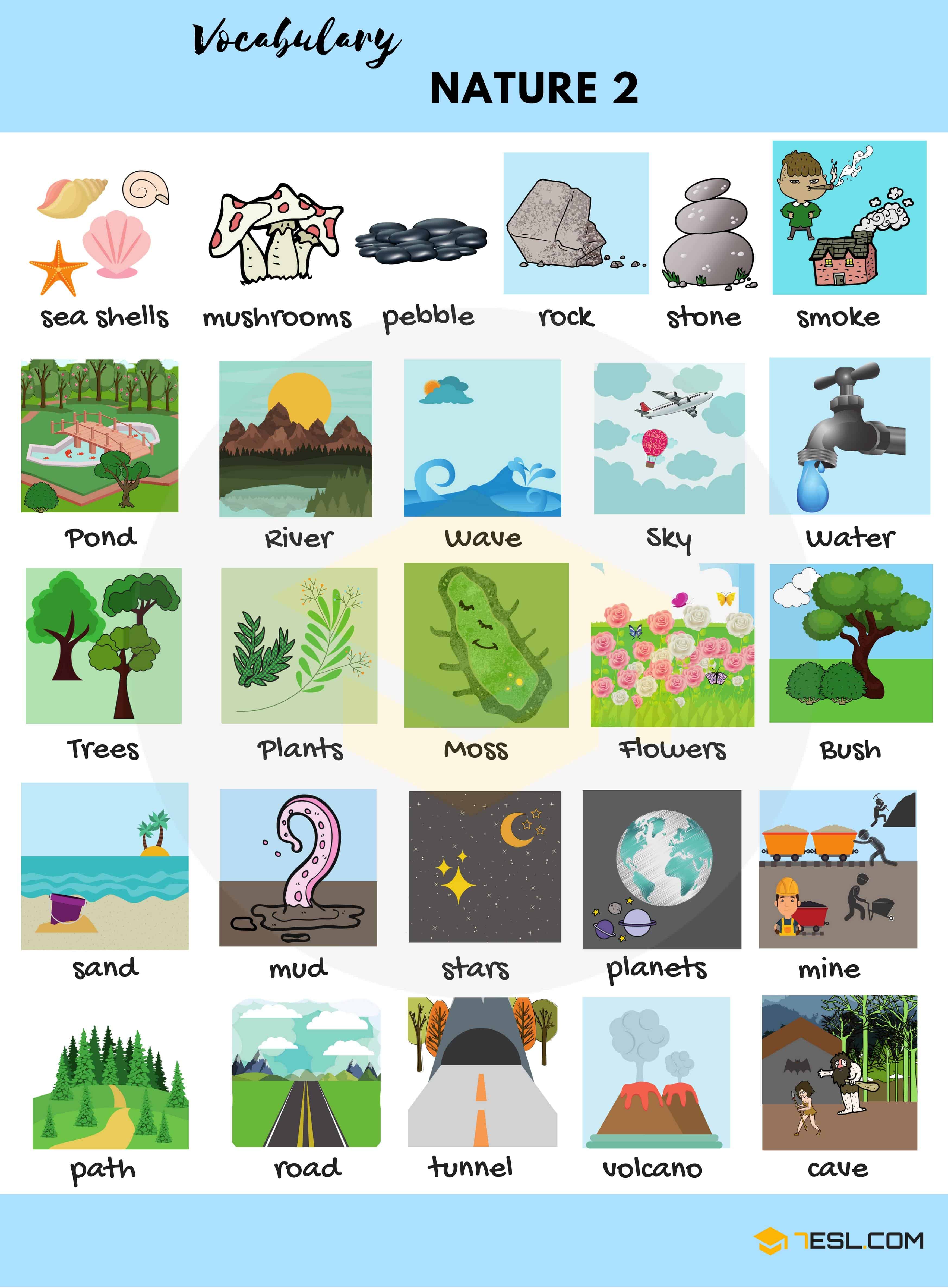 Nature Words with Pictures