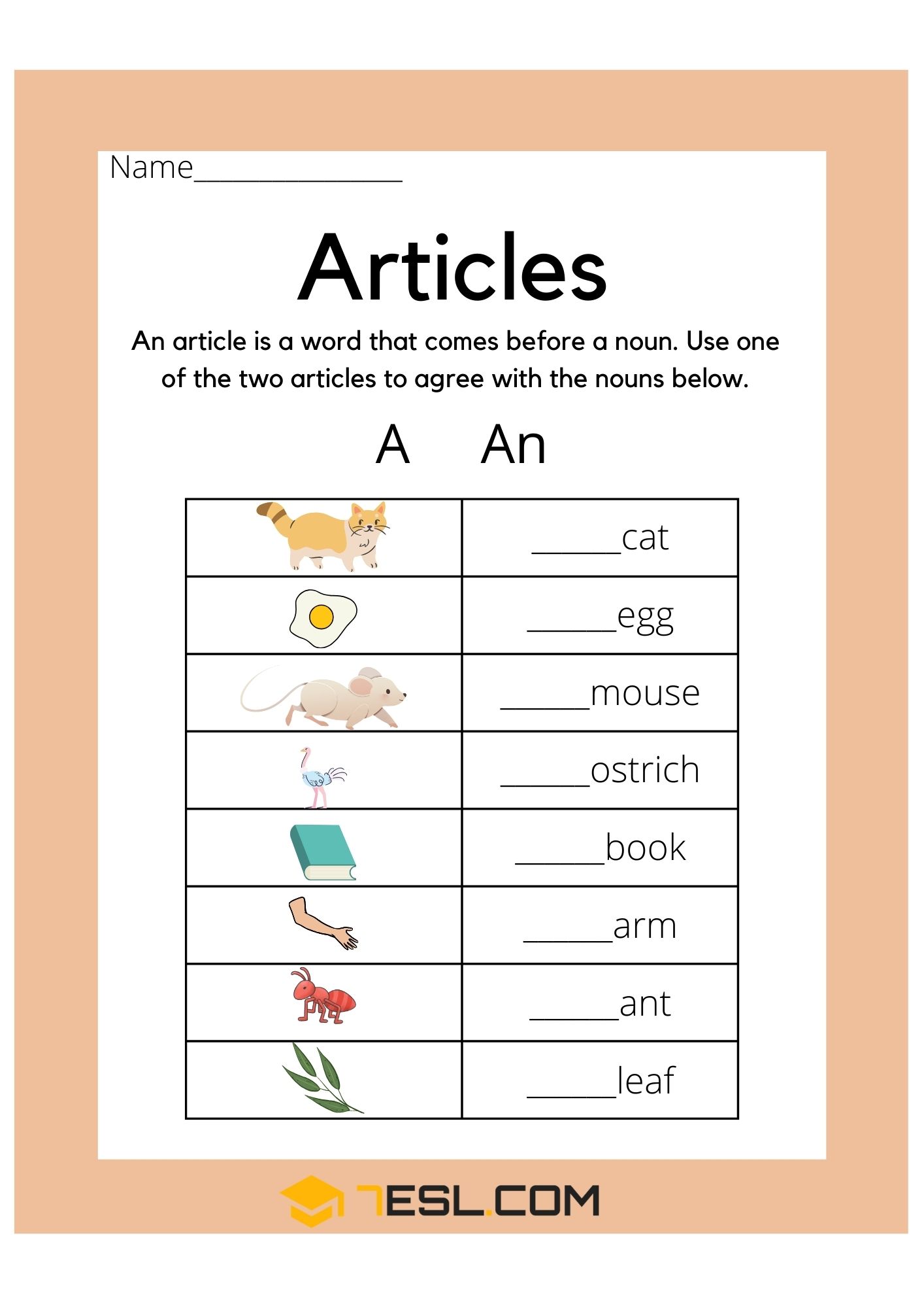 Article Worksheets - Article Exercises 3