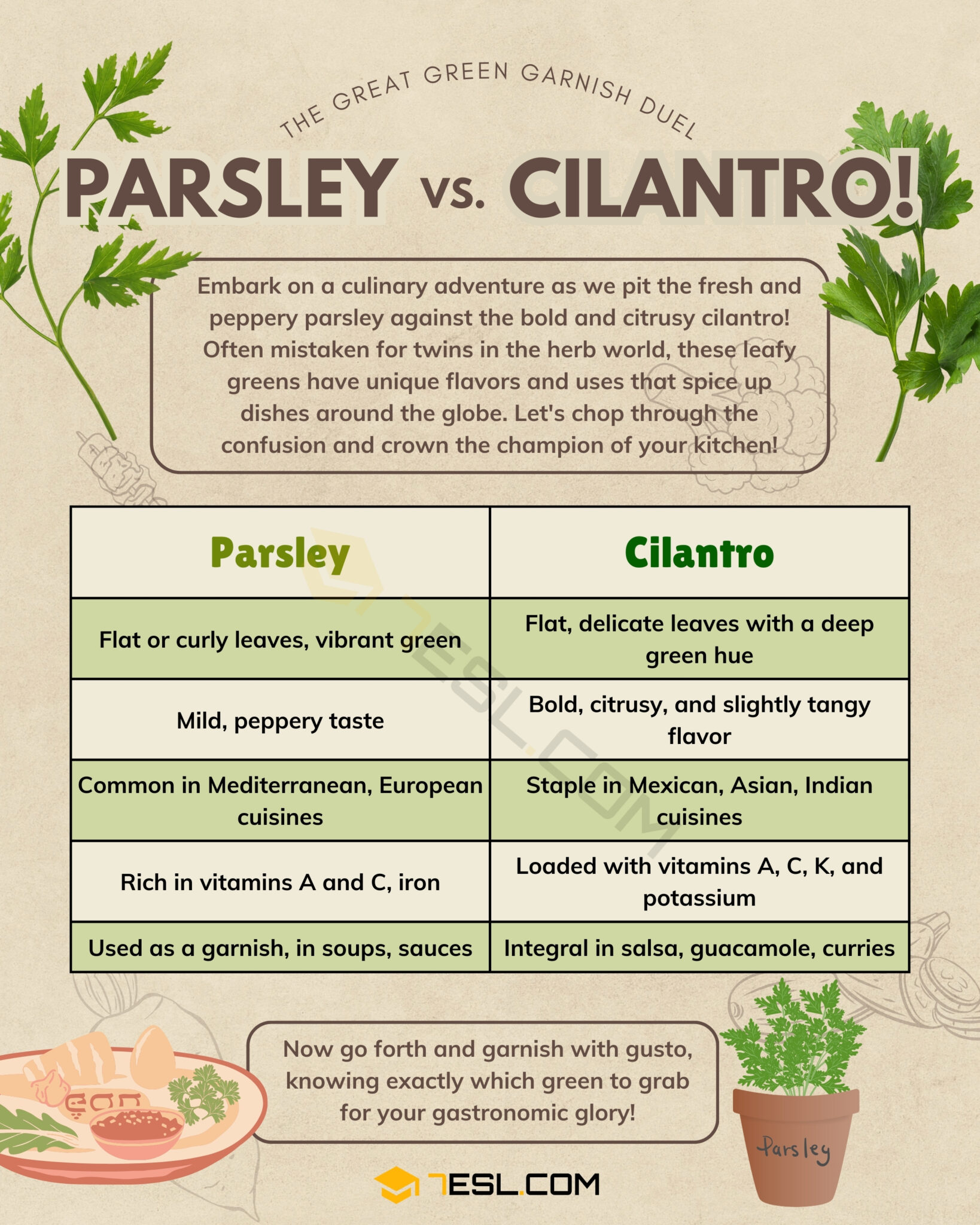 Parsley vs. Cilantro