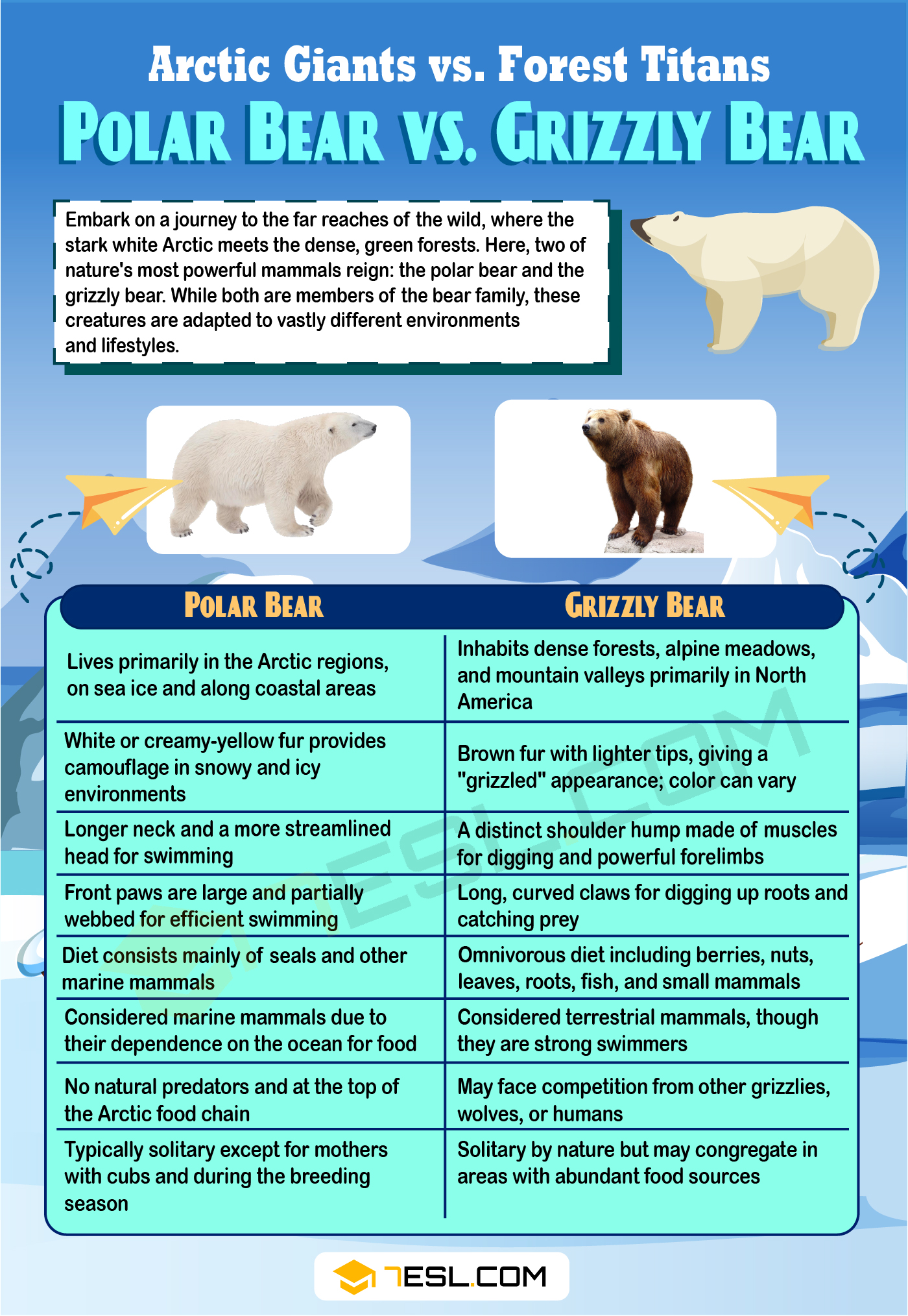 Polar Bear vs. Grizzly Bear