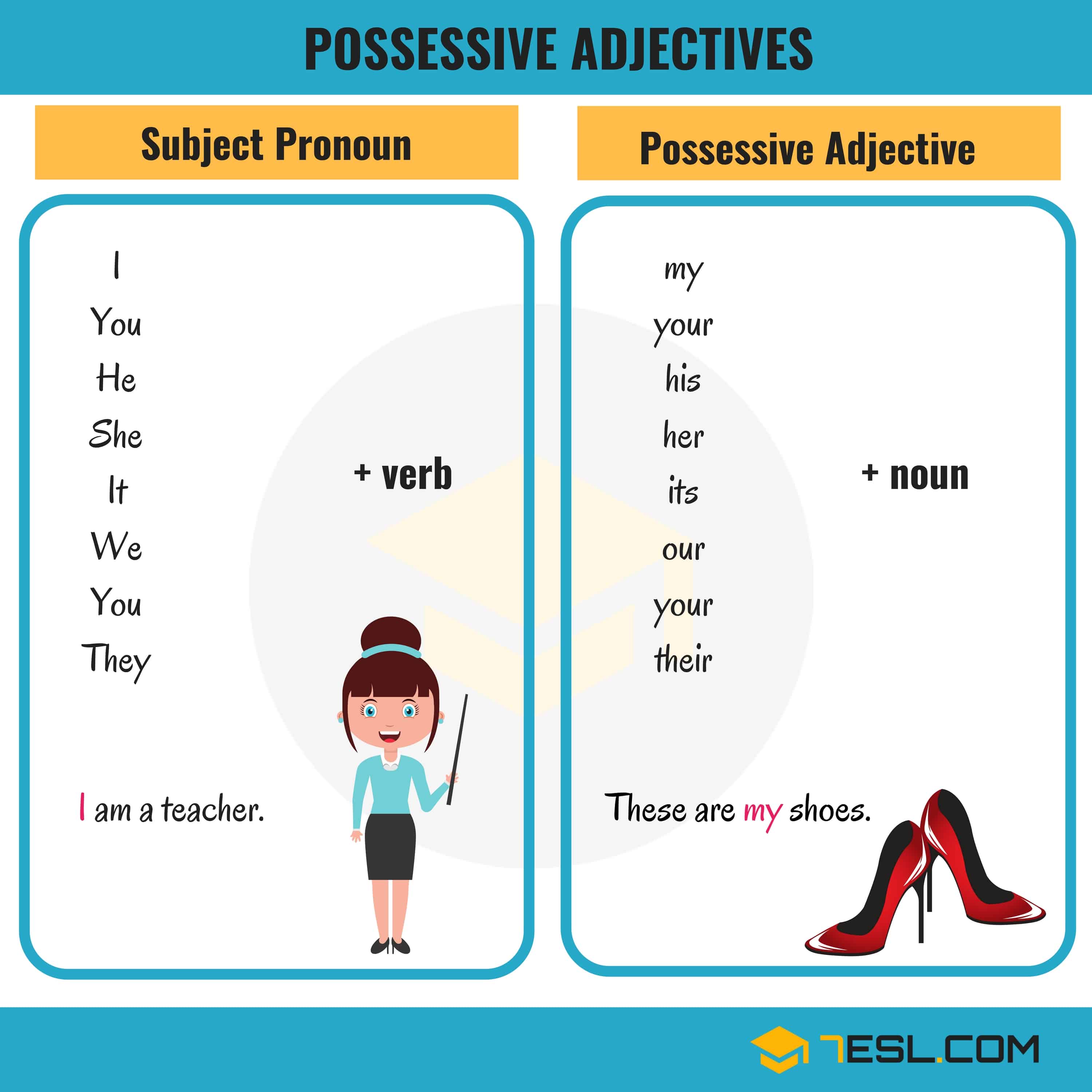Possessive Adjectives