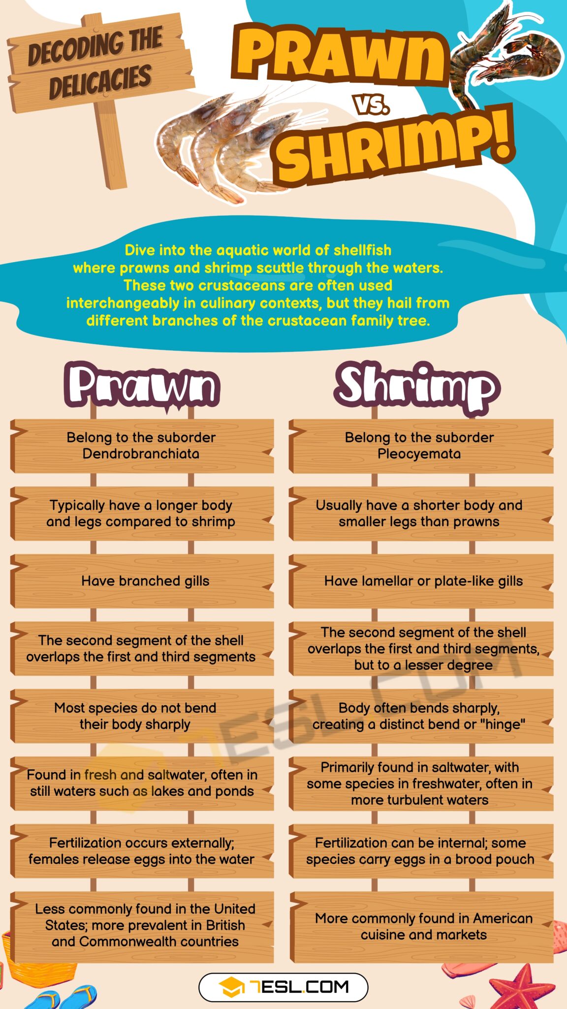Prawn vs. Shrimp