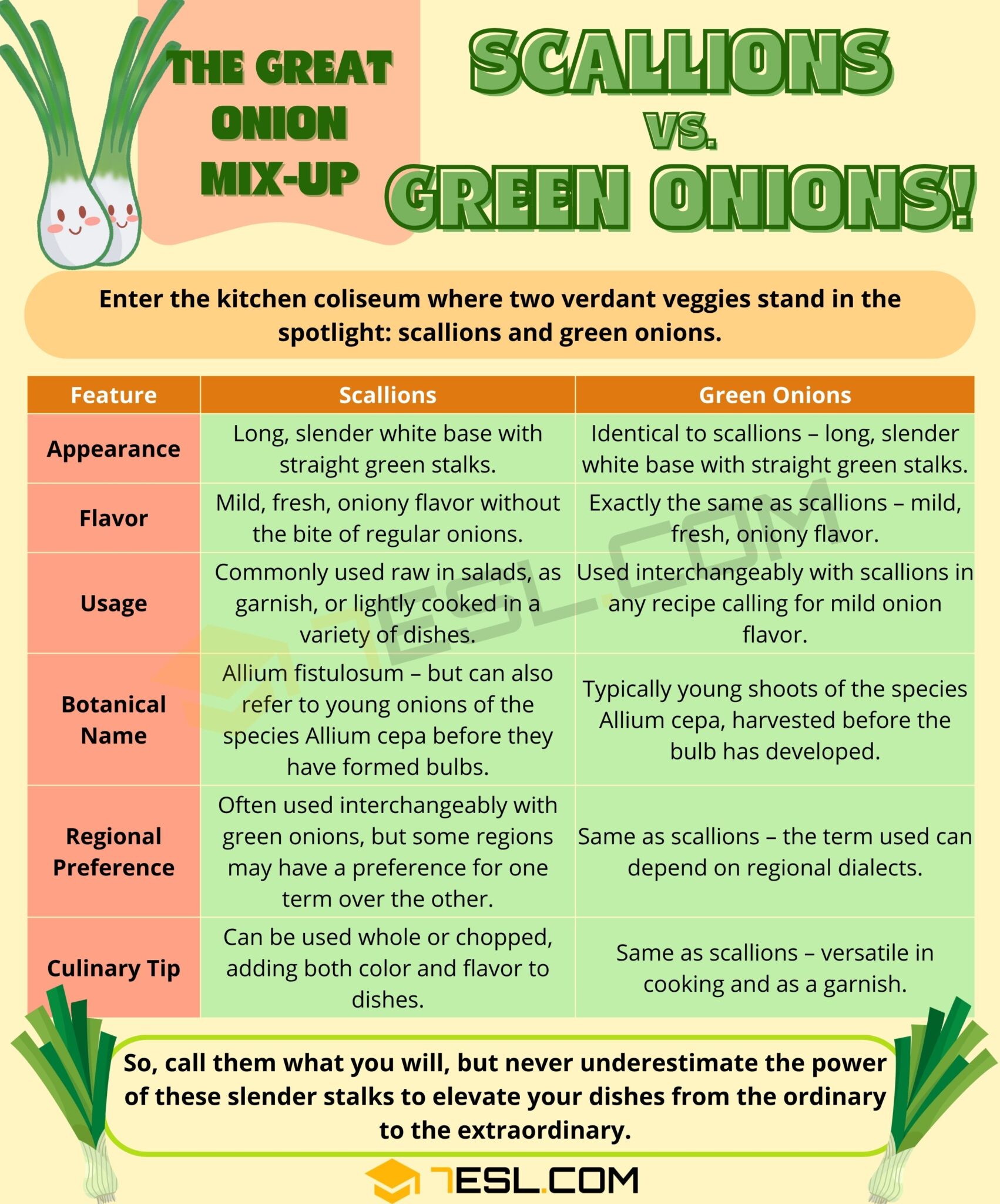 Scallions vs. Green Onions