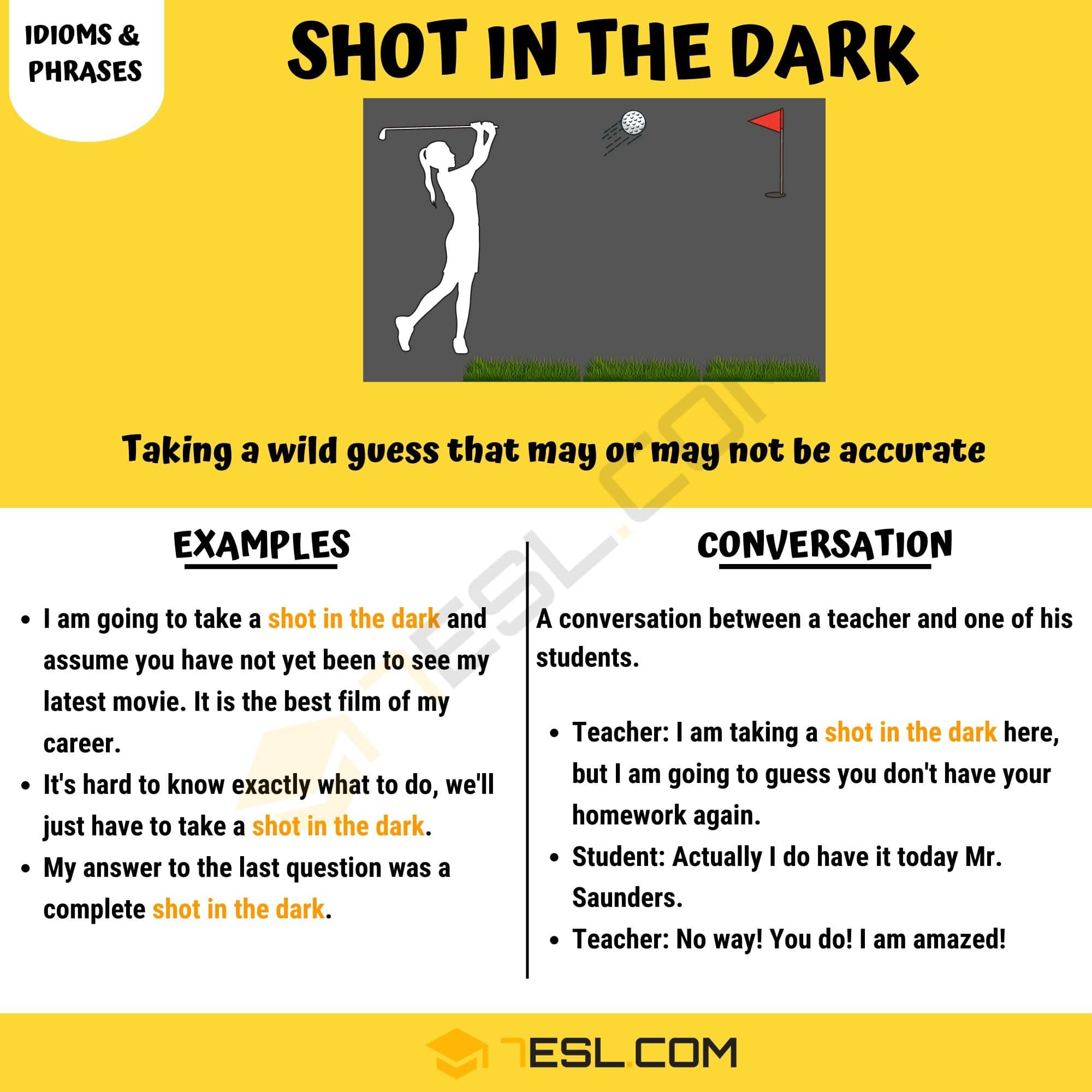 Shot In the Dark Meaning