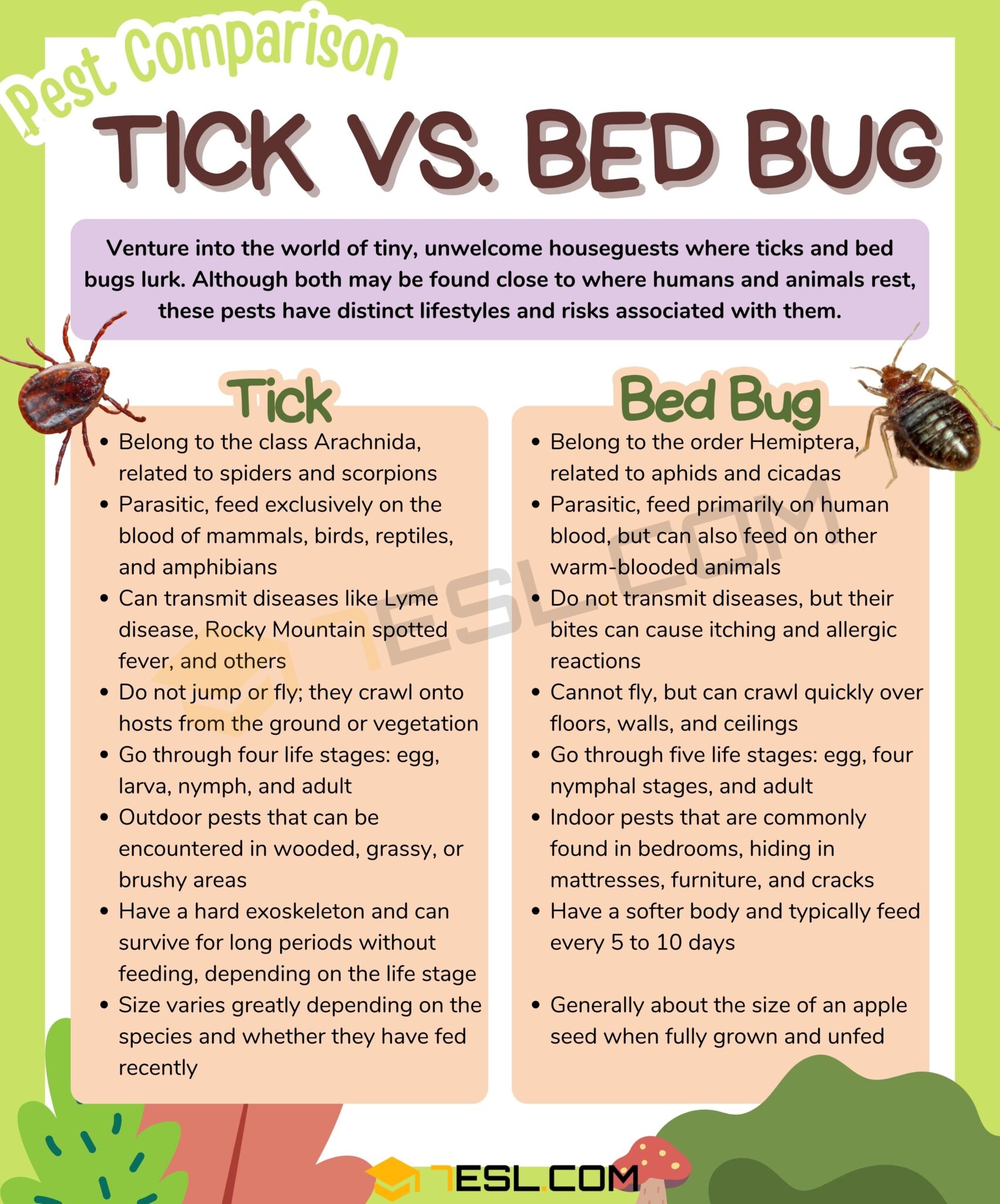 Tick vs. Bed Bug