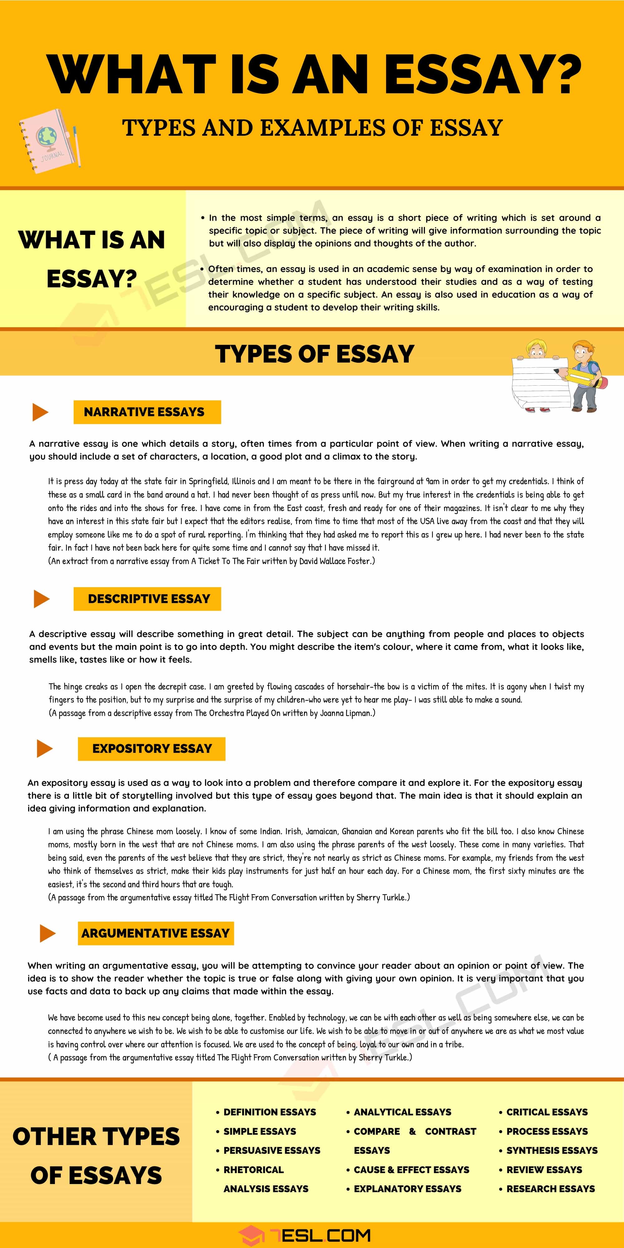 What Is an Essay?