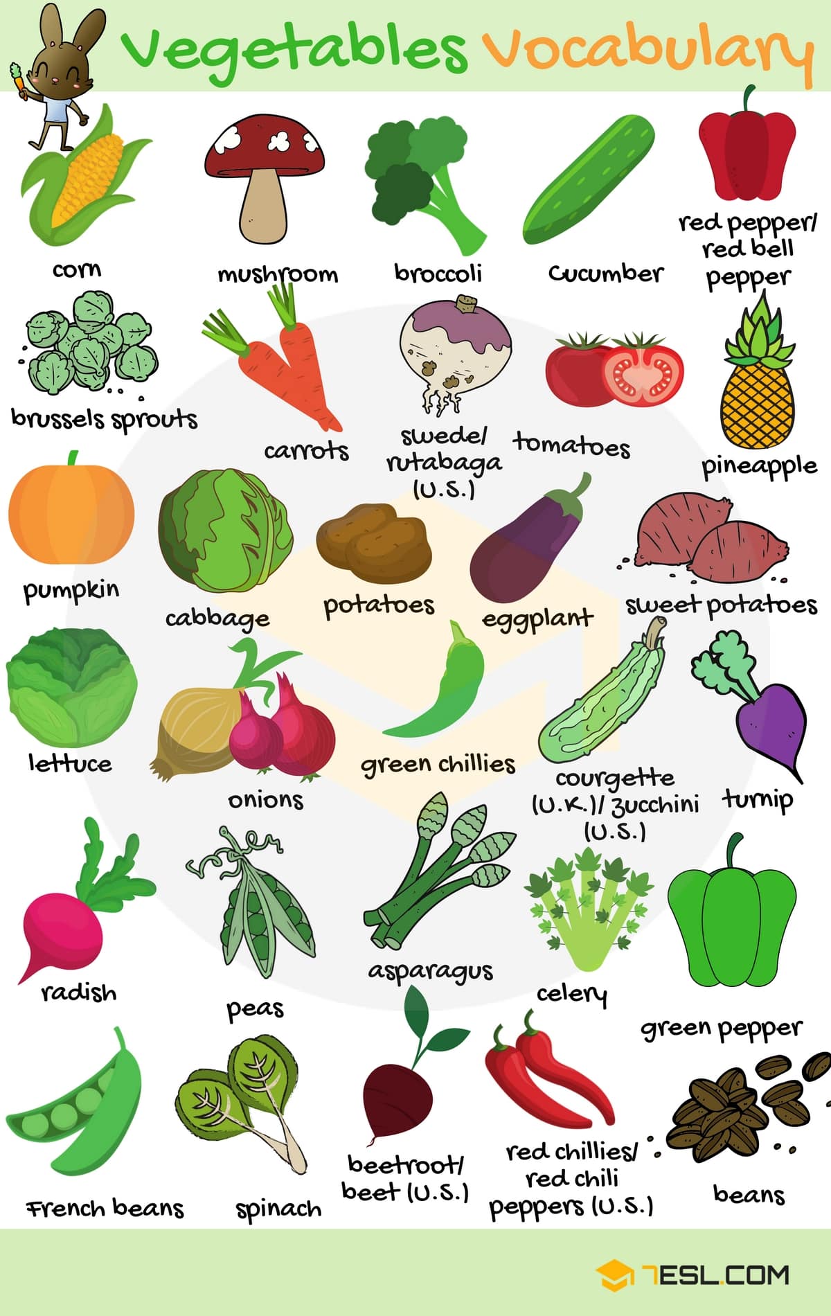 Vegetable Names in English