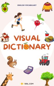 Visual Dictionary Book