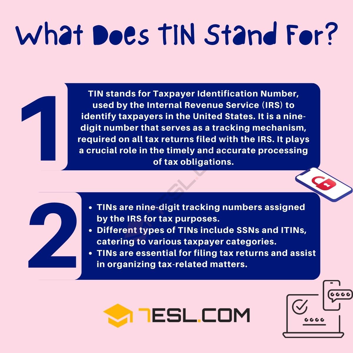 TIN Meaning