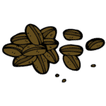 Bean