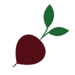 Beetroot/beet (U.S.)