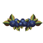 Blueberry