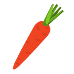 Carrot
