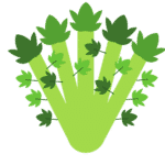 Celery