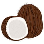 Coconut