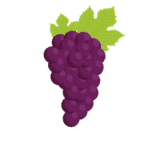 Grape
