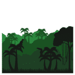 Jungle