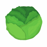 Lettuce