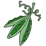 Pea
