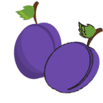 Plum
